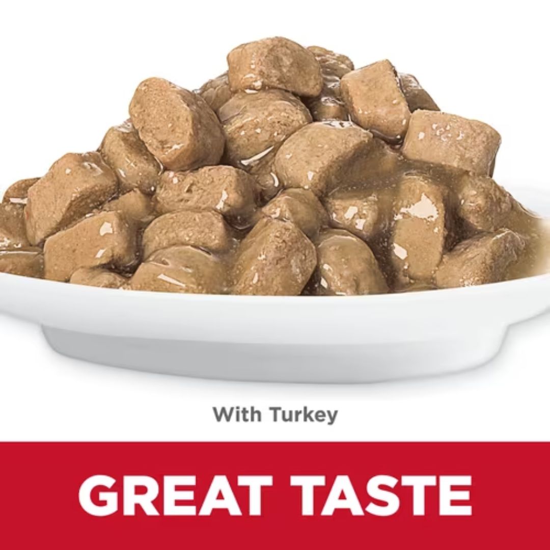 Hill's Science Diet Cat Food in Pouches Kitten with Turkey | PeekAPaw Pet Supplies