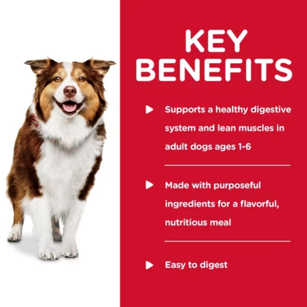 Hill's Science Diet Canned Dog Food Adult Healthy Cuisine Braised Beef, Carrots & Peas Stew | PeekAPaw Pet Supplies