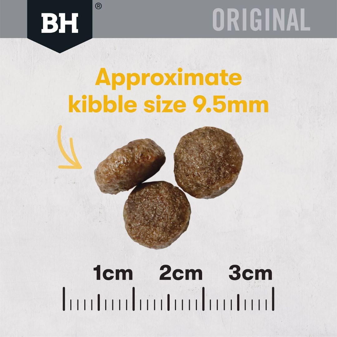 Black Hawk original Adult Dry Cat Food Chicken | PeekAPaw Pet Supplies