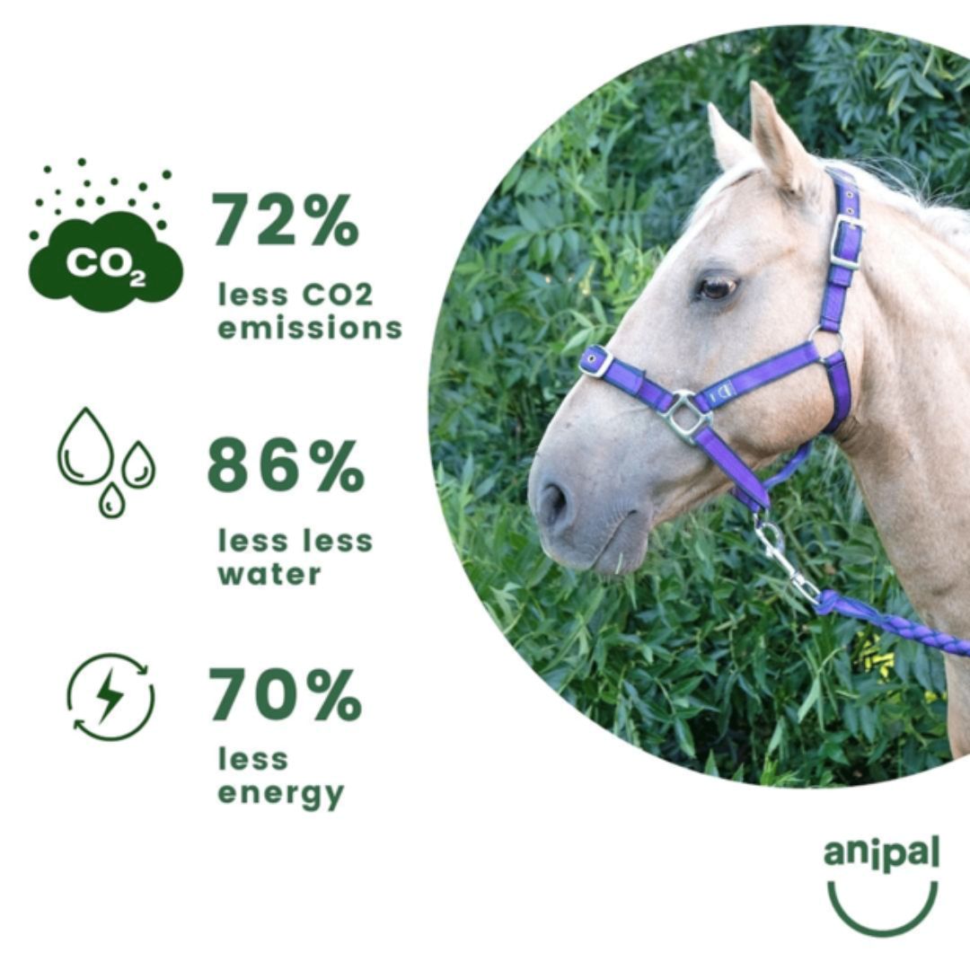 Anipal Autumn Lilac Recycled Comfort Halter & Lead Set | PeekAPaw Pet Supplies