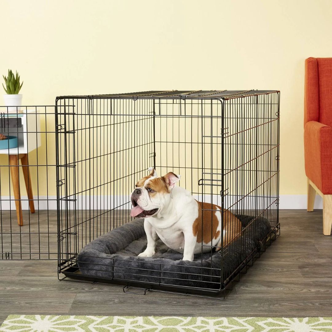 MidWest Homes for Pets QuiteTime Bolster Pet Bed | PeekAPaw Pet Supplies