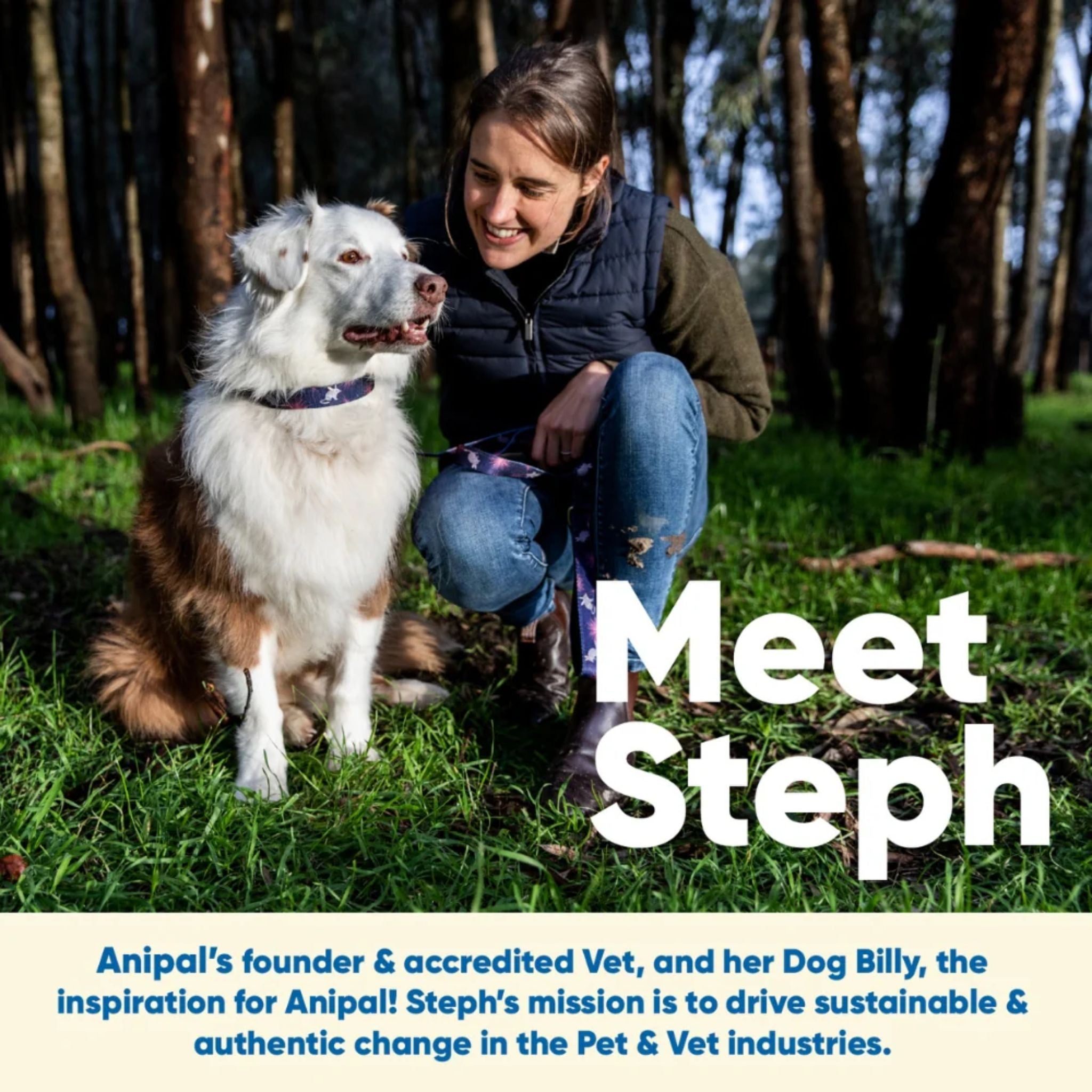 Anipal Gut Formula Powder Meal Topper