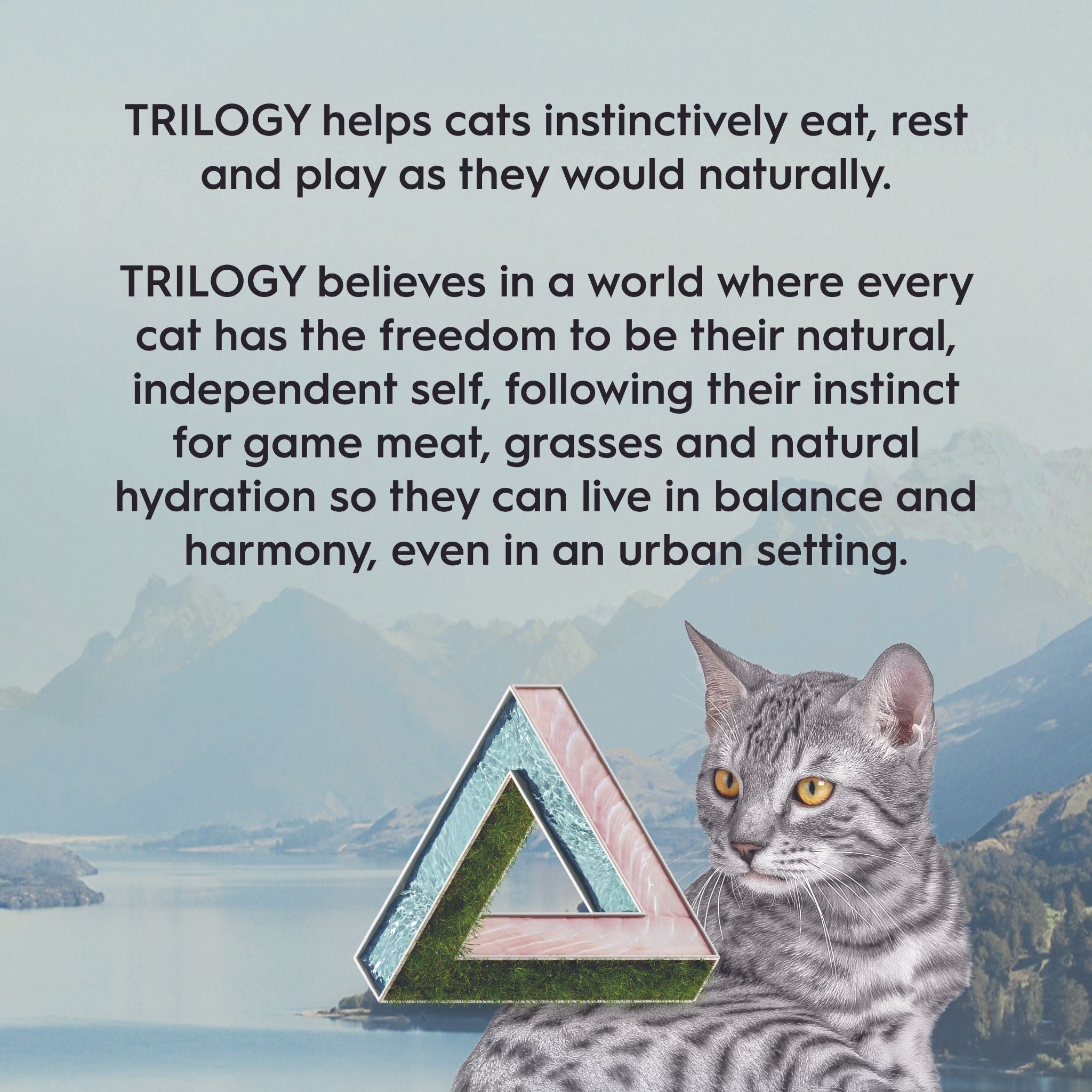 Trilogy Dry Adult Cat Food Australian Barramundi with Tuna + Freeze Dried Lamb