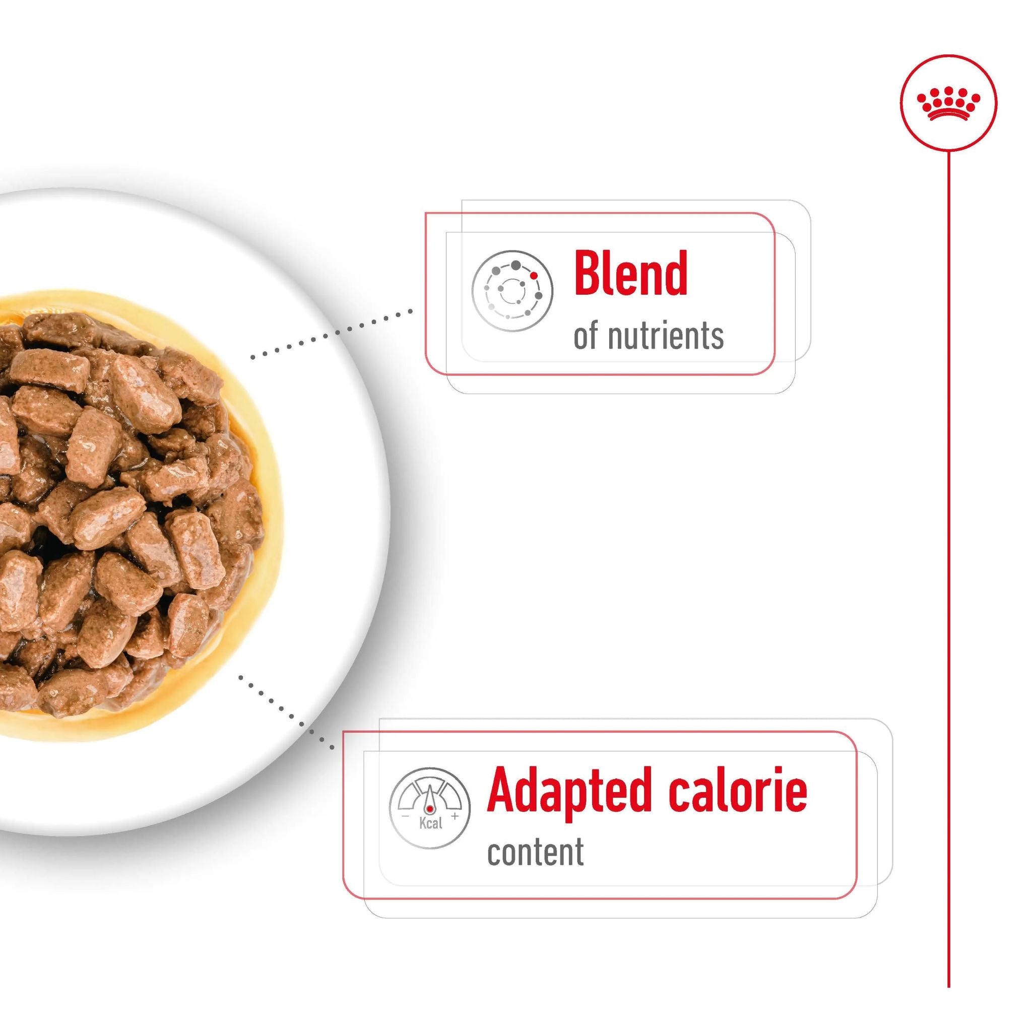 Royal Canin Mini Ageing Gravy Wet Dog Food