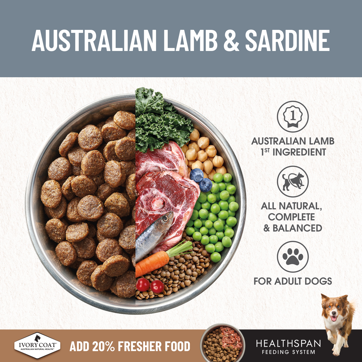 Ivory Coat Australian lamb and sardine as first ingredients, shown with kibble and vegetables