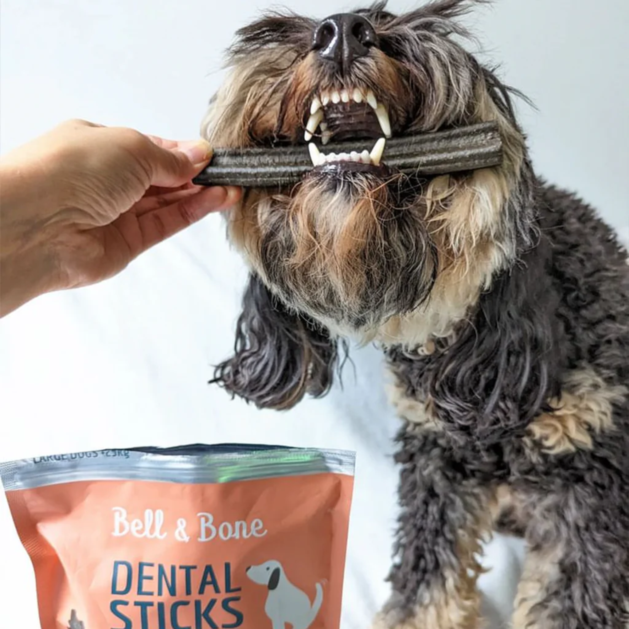 Bell and Bone Dental Sticks for Adult Dogs - Salmon, Mint & Charcoal