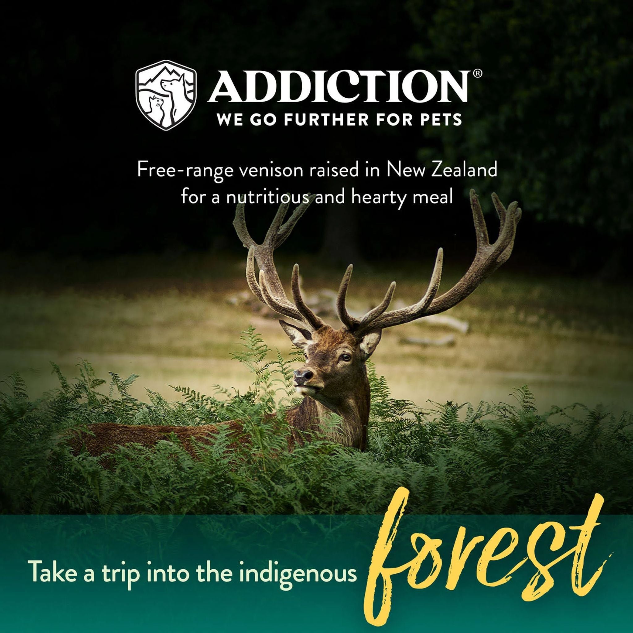 ADDICTION Homestyle Venison & Cranberry Dinner Raw Alternative Dog Food