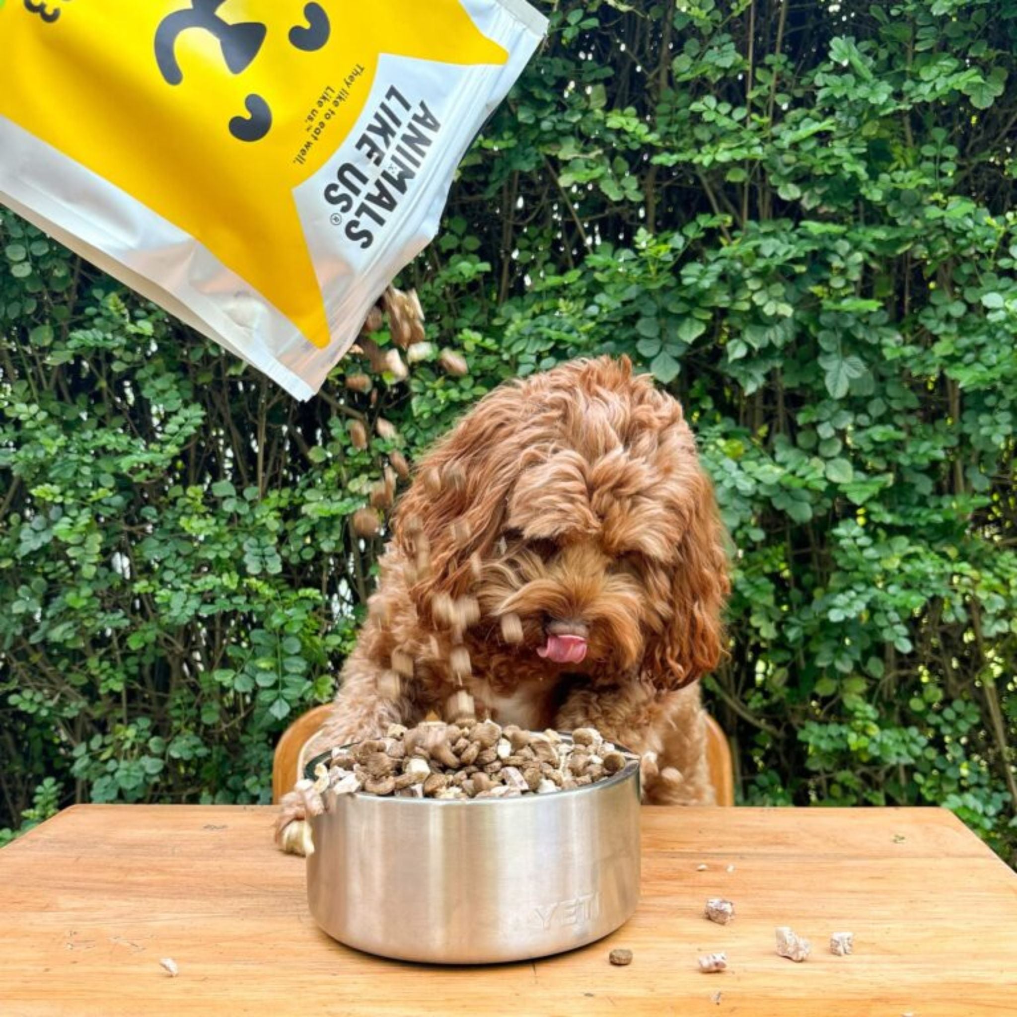 Animals Like Us Dog Food RawMix33 with Grass-Feed Lamb