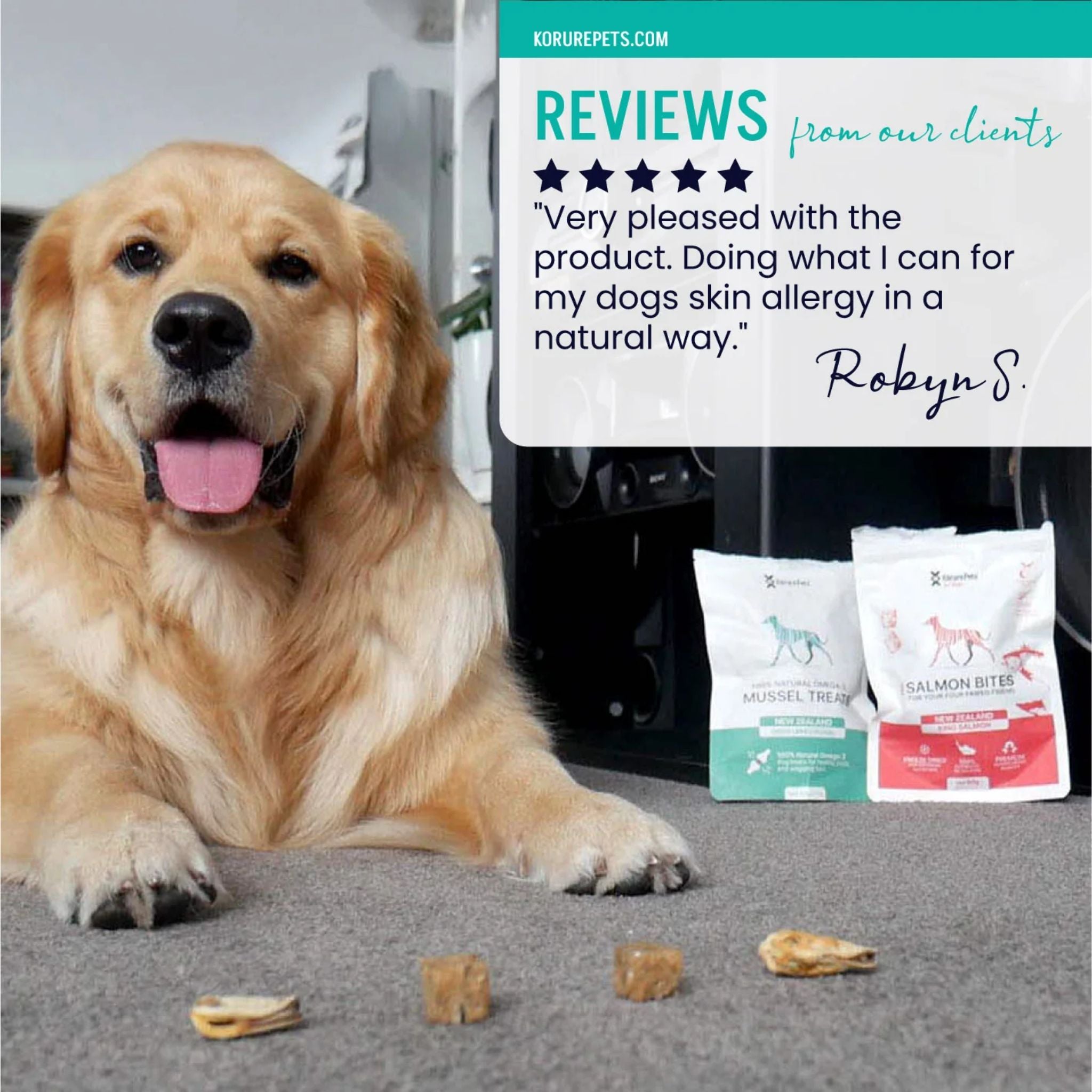 Korure Pets King Salmon Bites Dog Treats