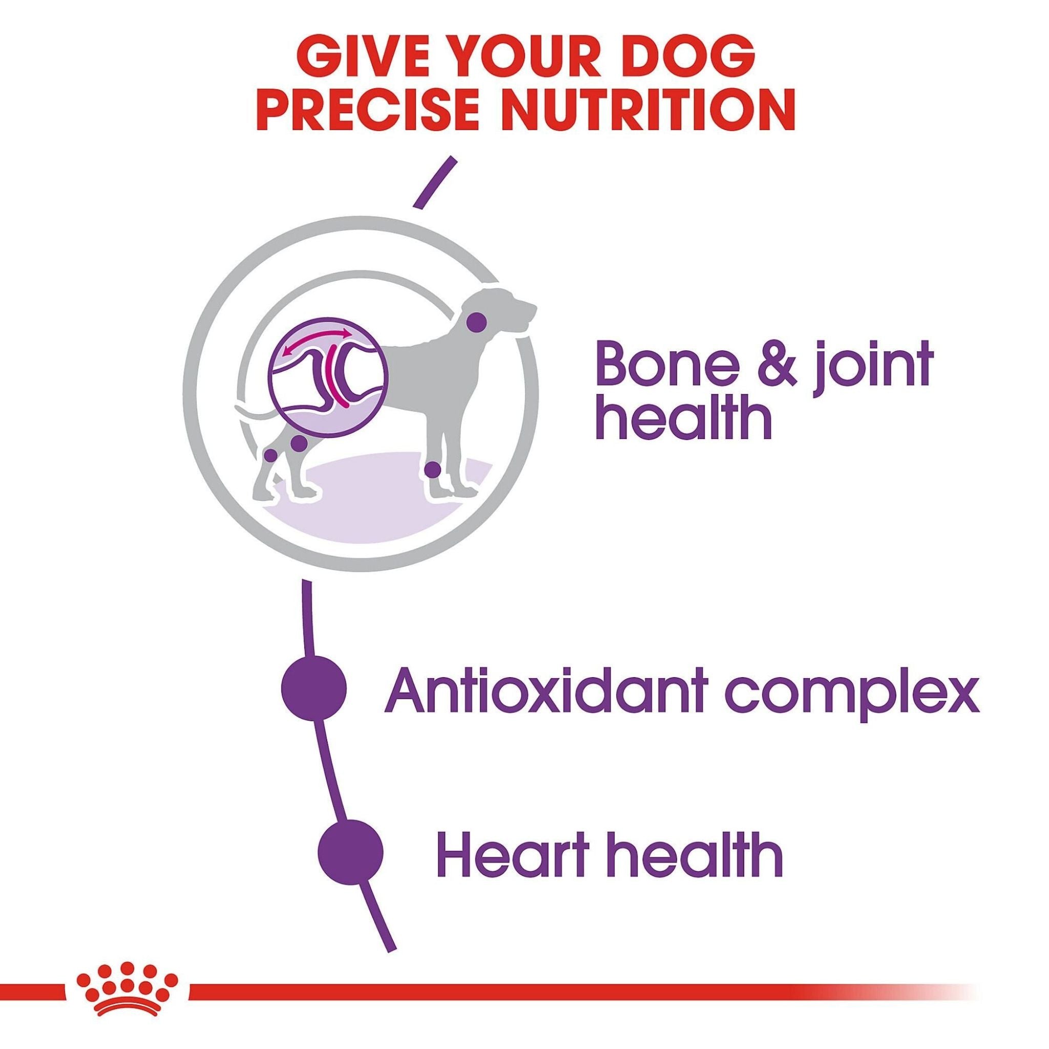 Royal Canin Giant Adult