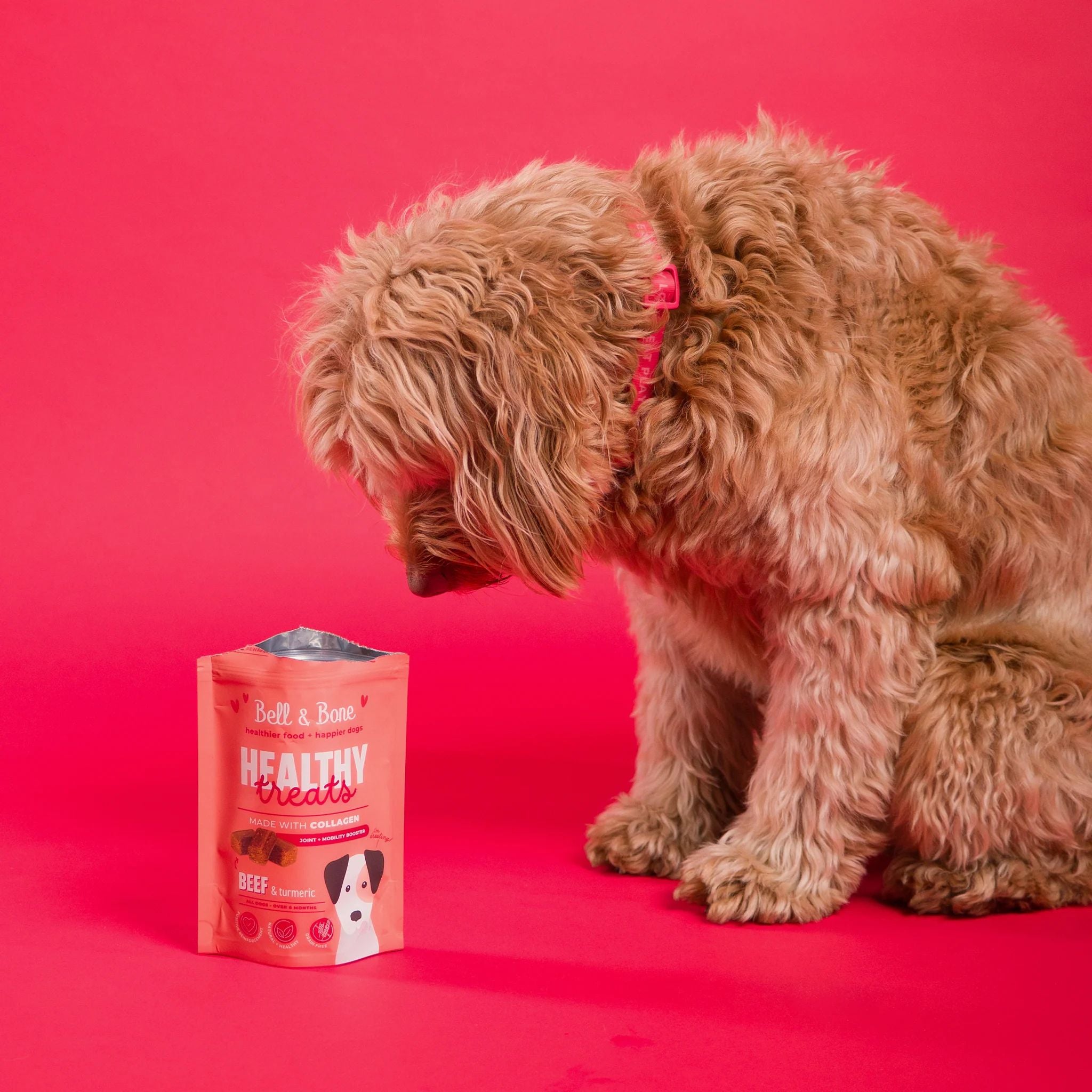 Bell and Bone Healthy Dog Treats Beef & Turmeric for Joint and Mobility Booster