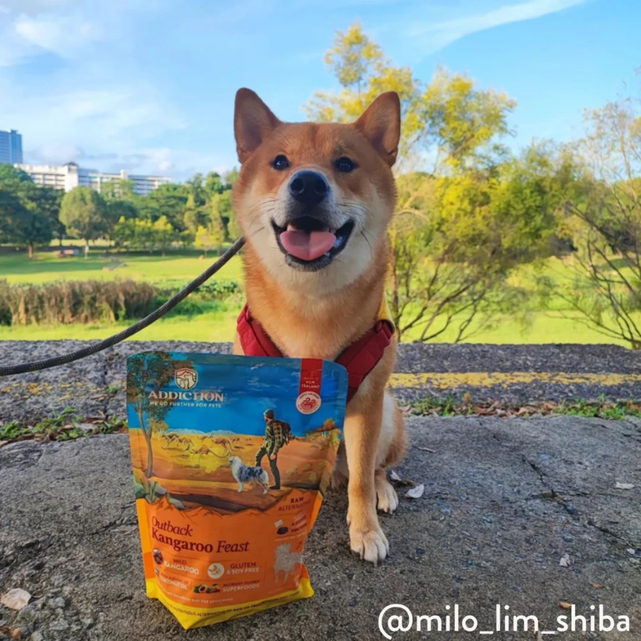 ADDICTION Outback Kangaroo Feast Raw Alternative Dog Food