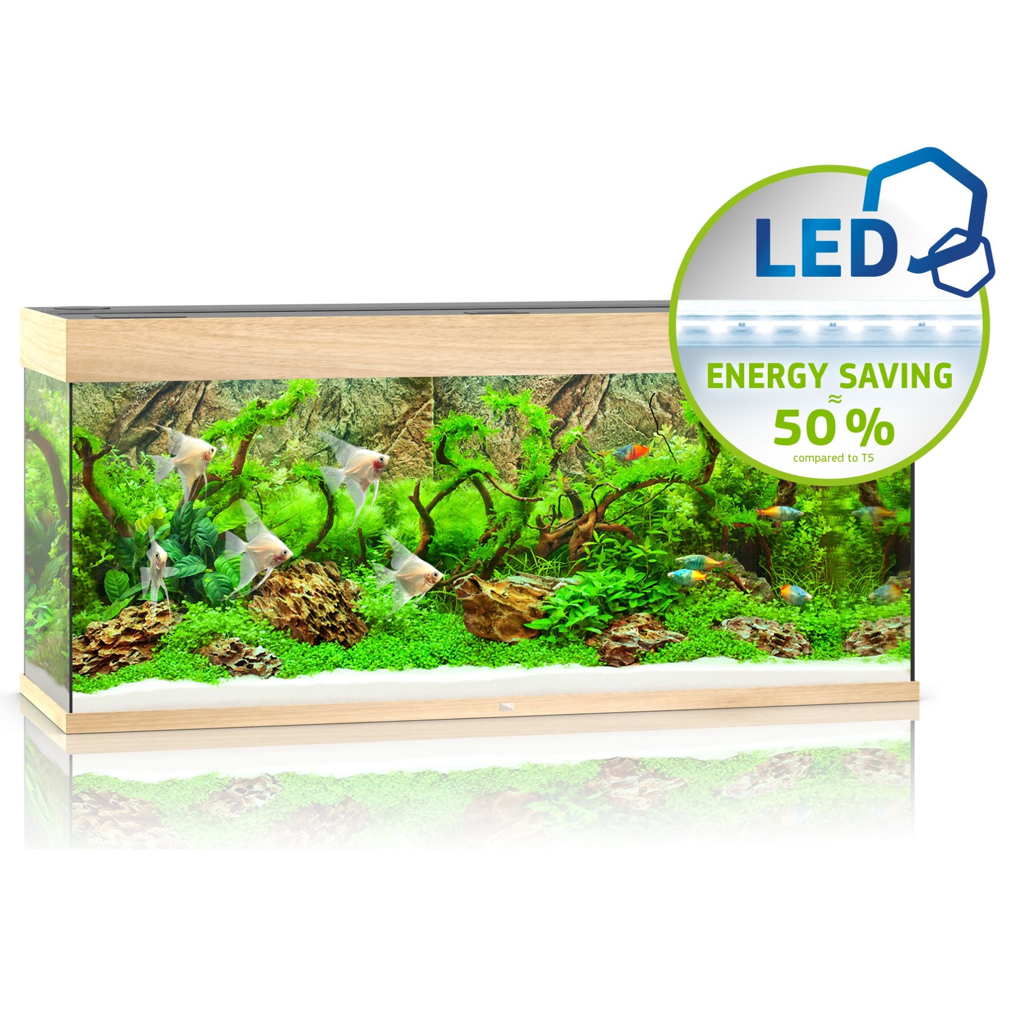 Juwel RIO LED Aquarium 240L