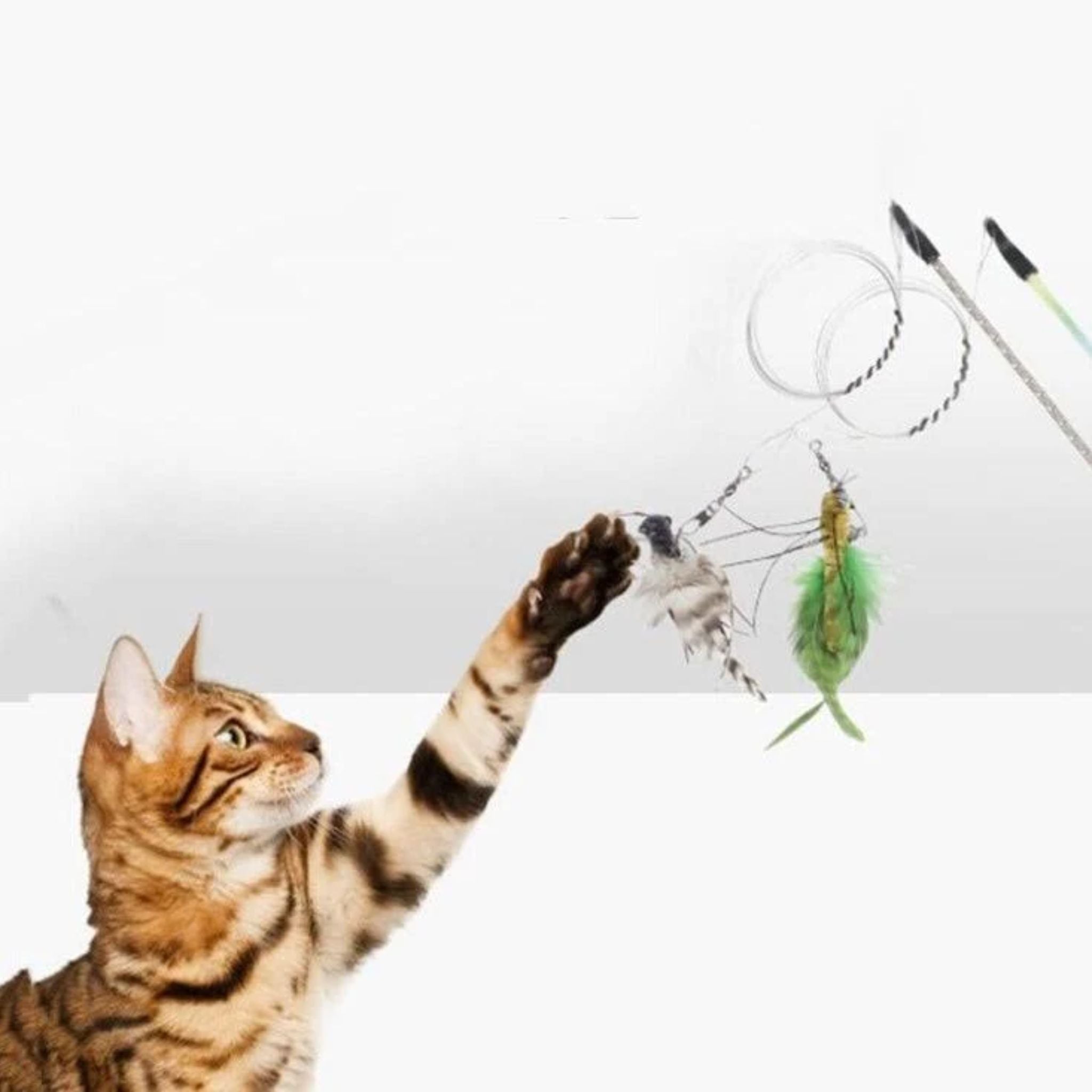 All for Paws AFP Natural Instincts Cat Bait Wand