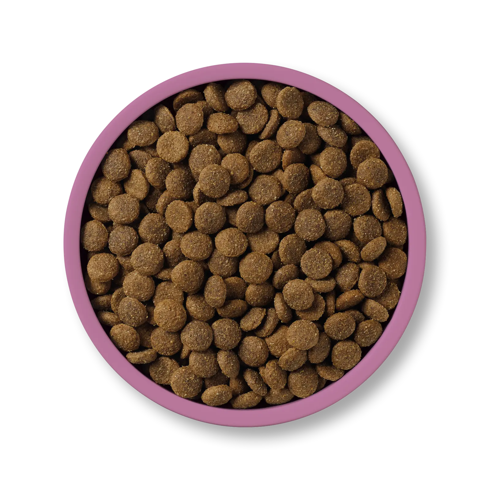 Applaws Chicken & Duck grain free dry dog food – kibble bowl overhead | PeekAPaw