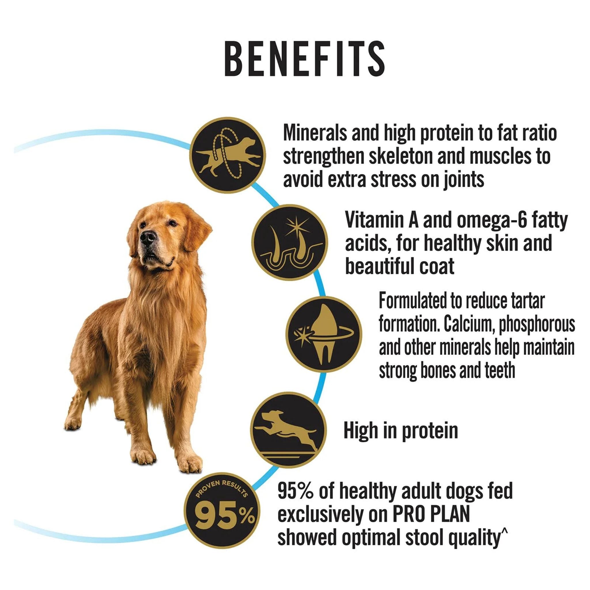 PRO PLAN Adult Large Breed Chicken Dry Dog Food