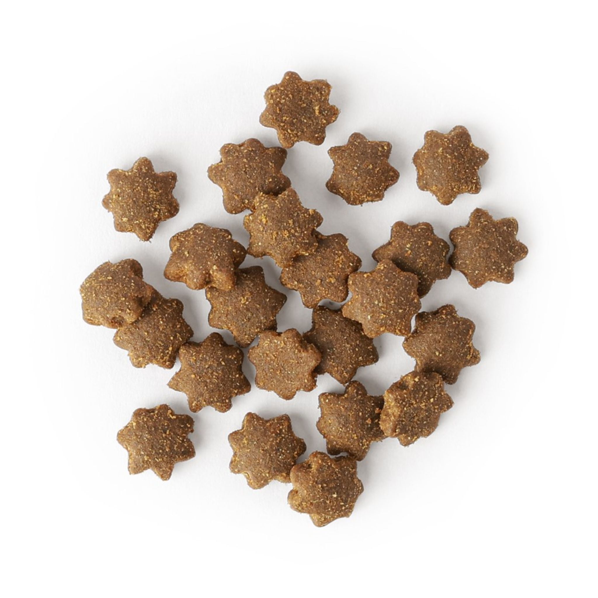 SavourLife Care Plus Grain Free Adult with Australian Chicken Dry Dog Food