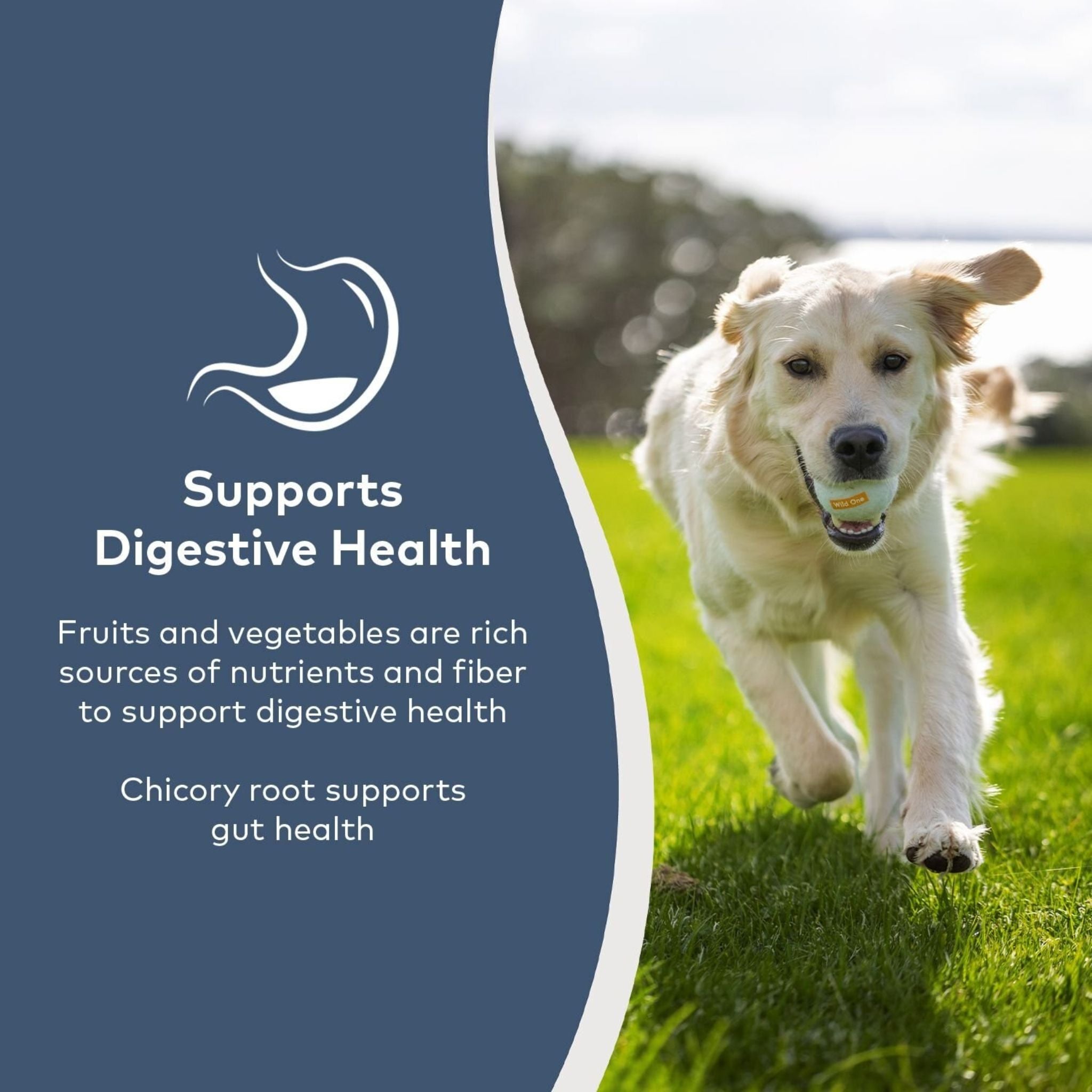 Ziwi Peak Steam and Dried Dog Food Cage-Free Chicken with orchard Fruits