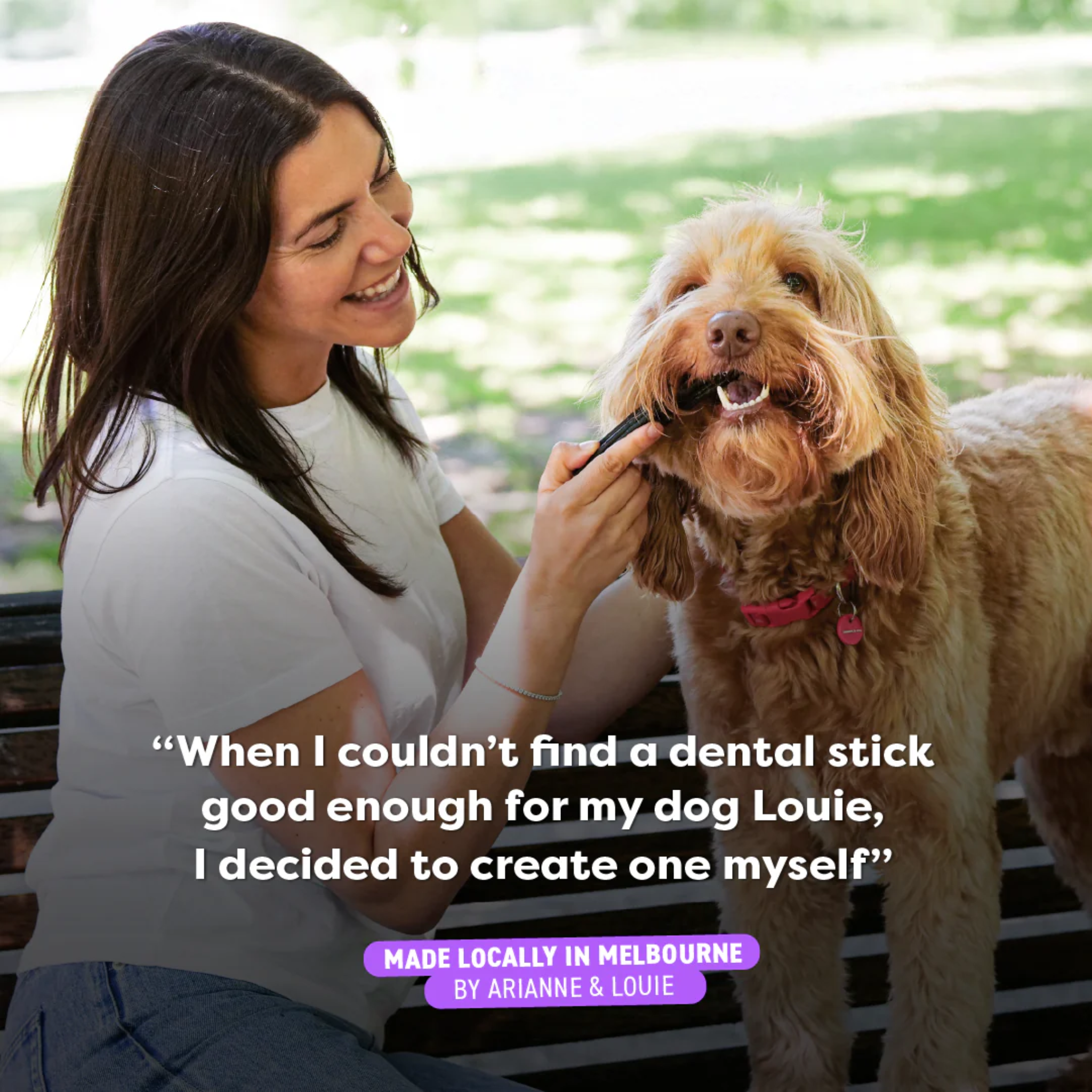 Bell and Bone Dental Sticks for Adult Dogs - Kangaroo, Mint & Turmeric