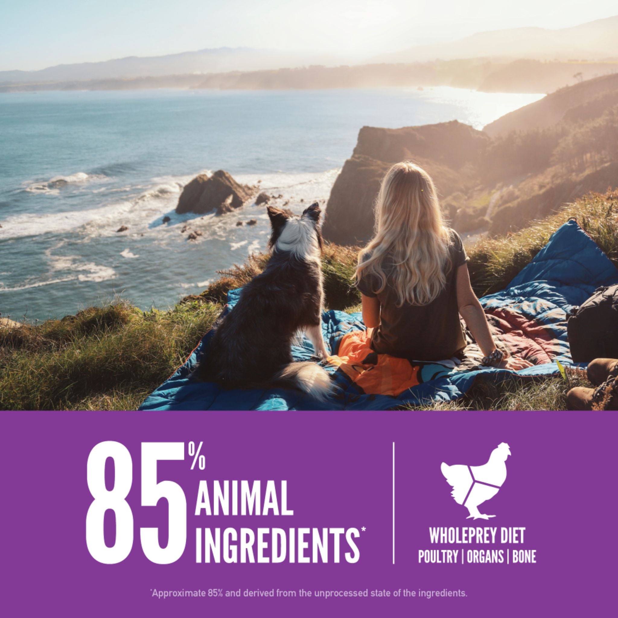 ORIJEN Biologically Appropriate Dry Dog Food Large Breed Puppy