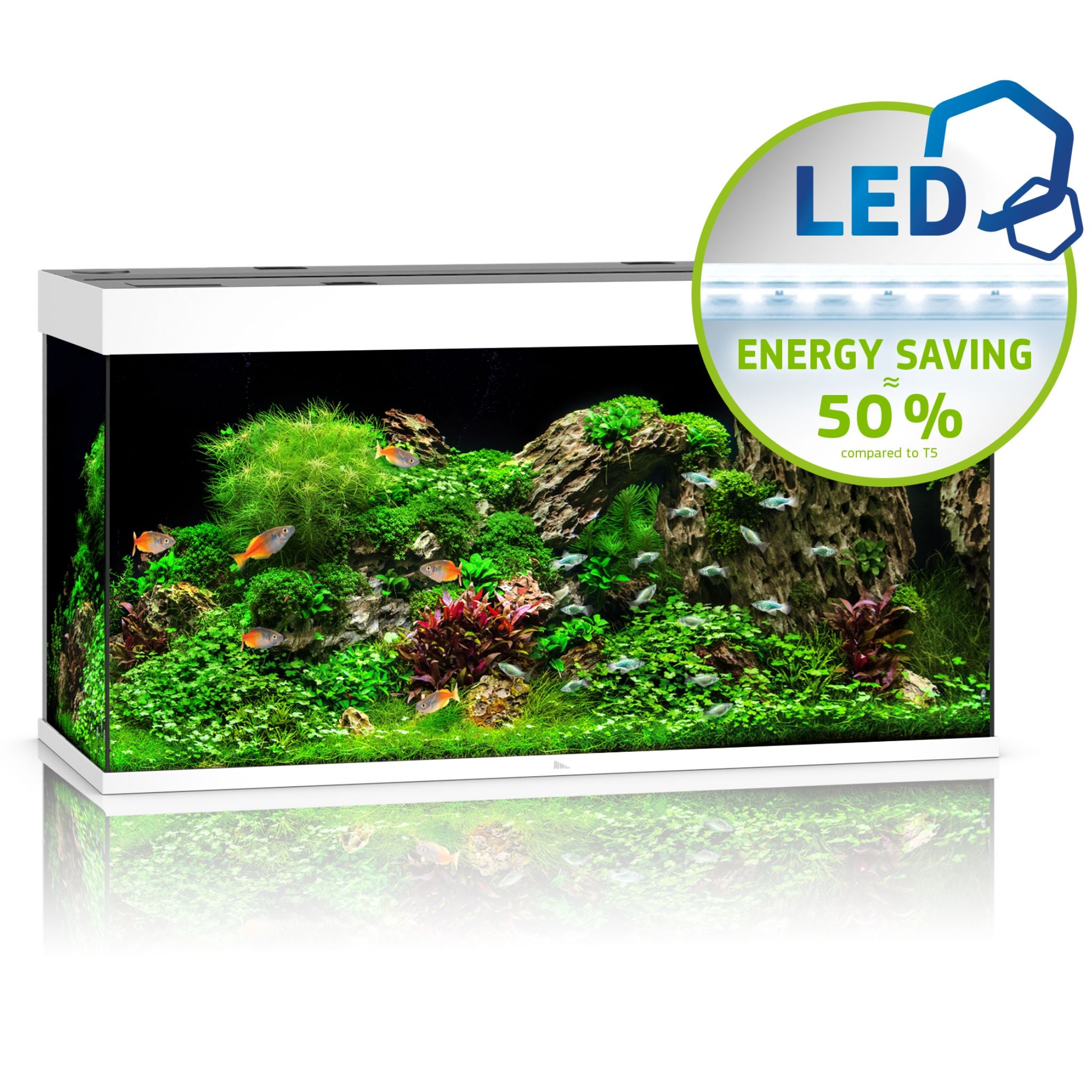Juwel RIO LED Aquarium 240L