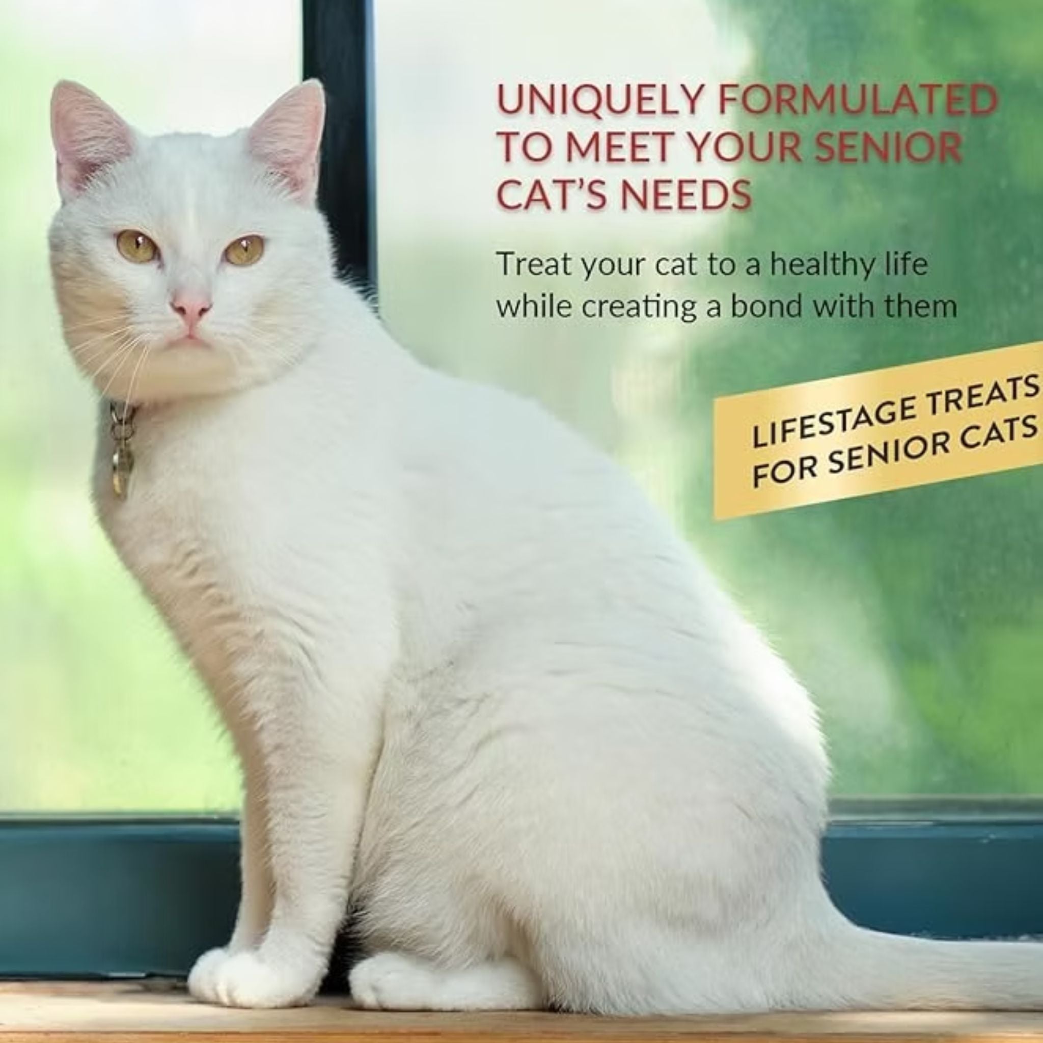 Inaba Cat Treat Churu Puree Senior 10+ Tuna with Salmon