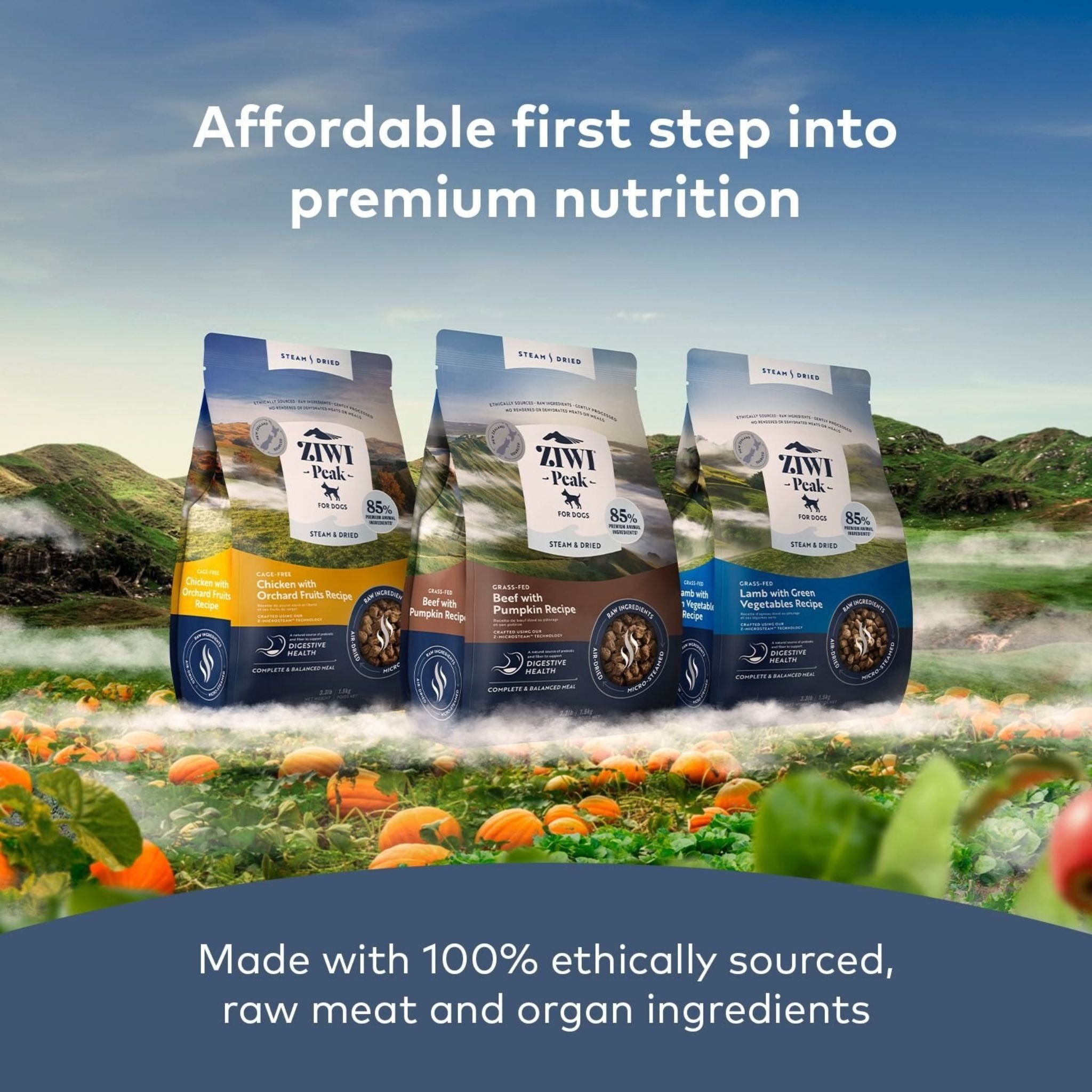 Ziwi Peak Steam and Dried Dog Food Grass-Fed Lamb with Green Vegetables