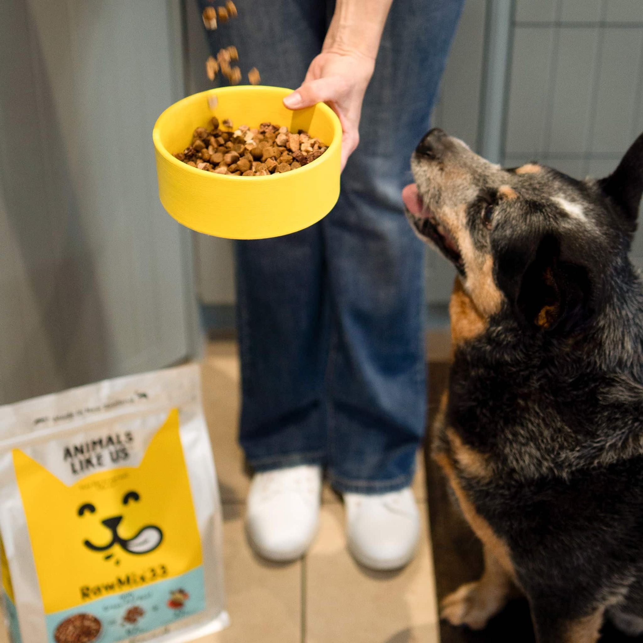 Animals Like Us Dog Food RawMix33 with Grass-Feed Beef