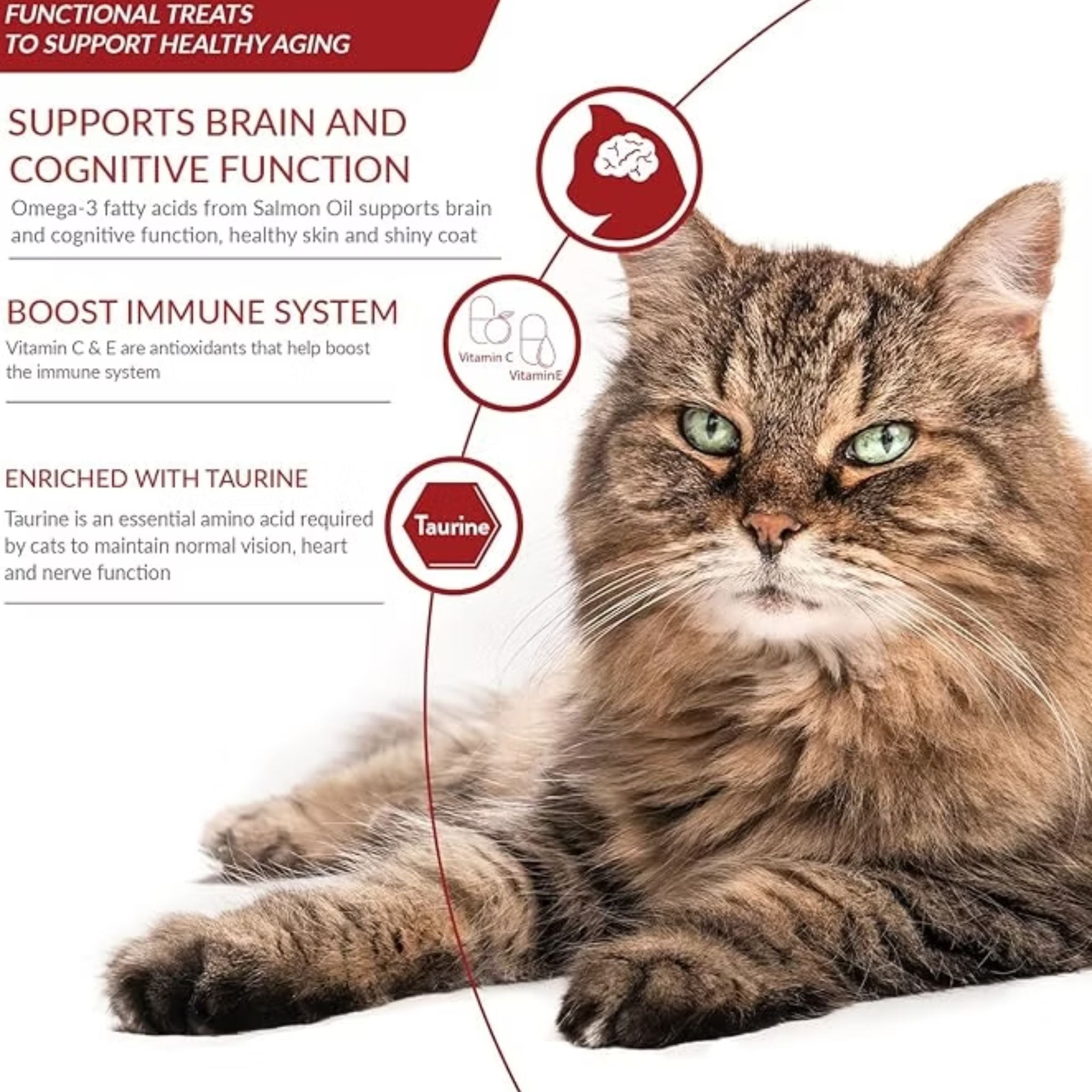 Inaba Cat Treat Churu Puree Senior 10+ Tuna with Salmon