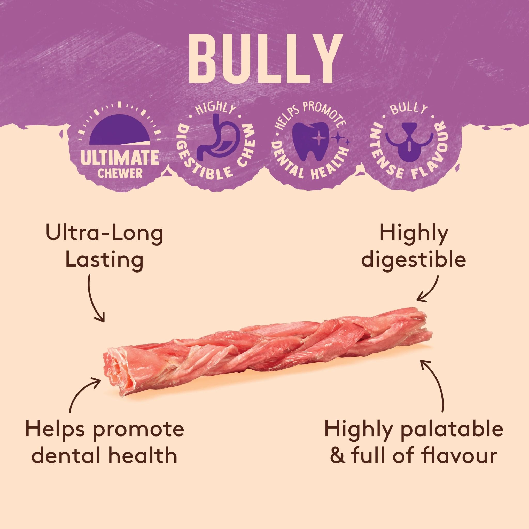 WAG Braided Bully Stick