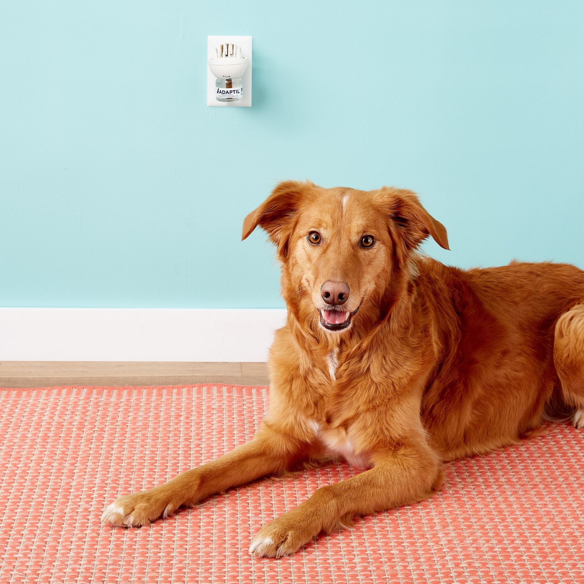 Adaptil Calm Diffuser Set & Refill