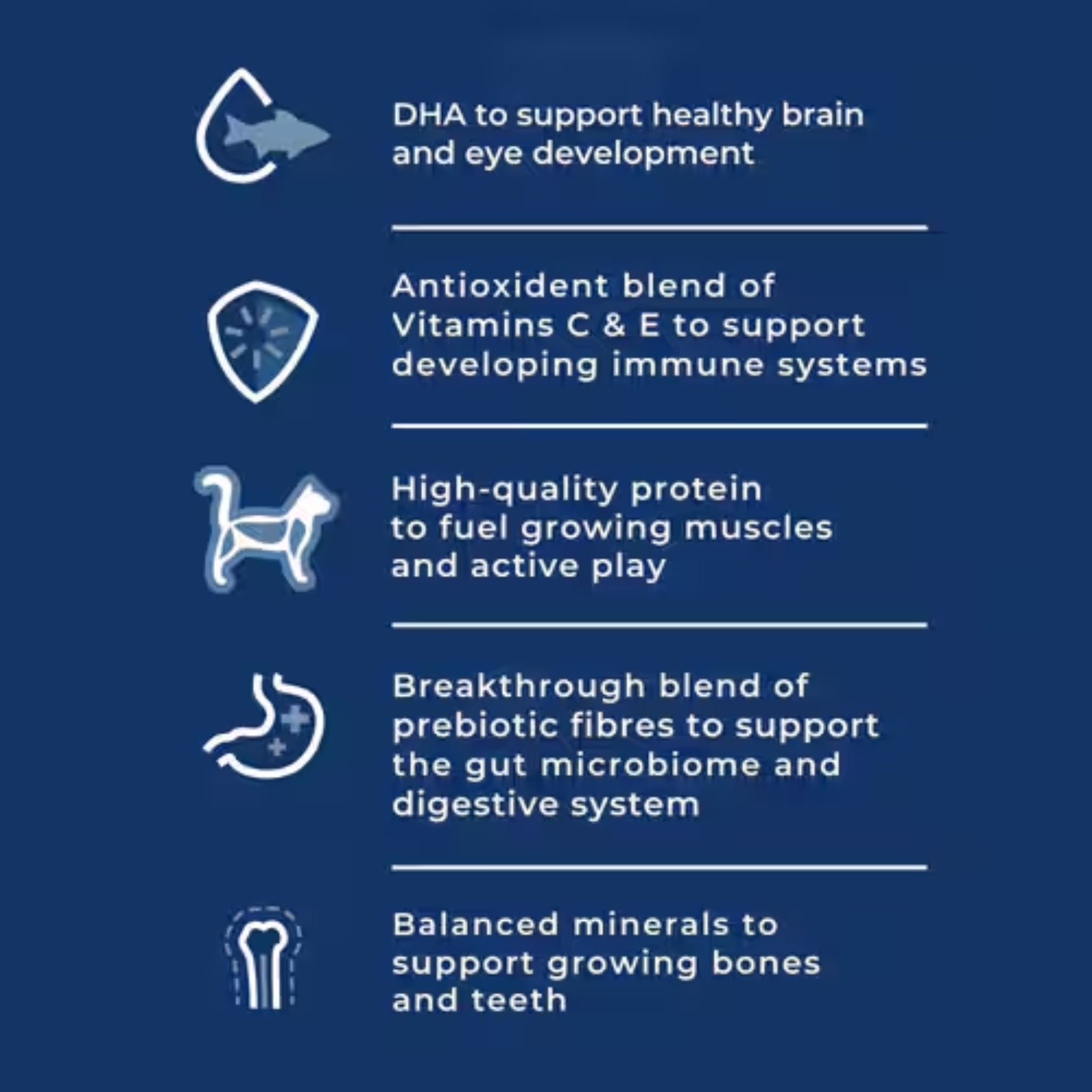 Hill's Science Diet Canned Kitten Food with Salmon