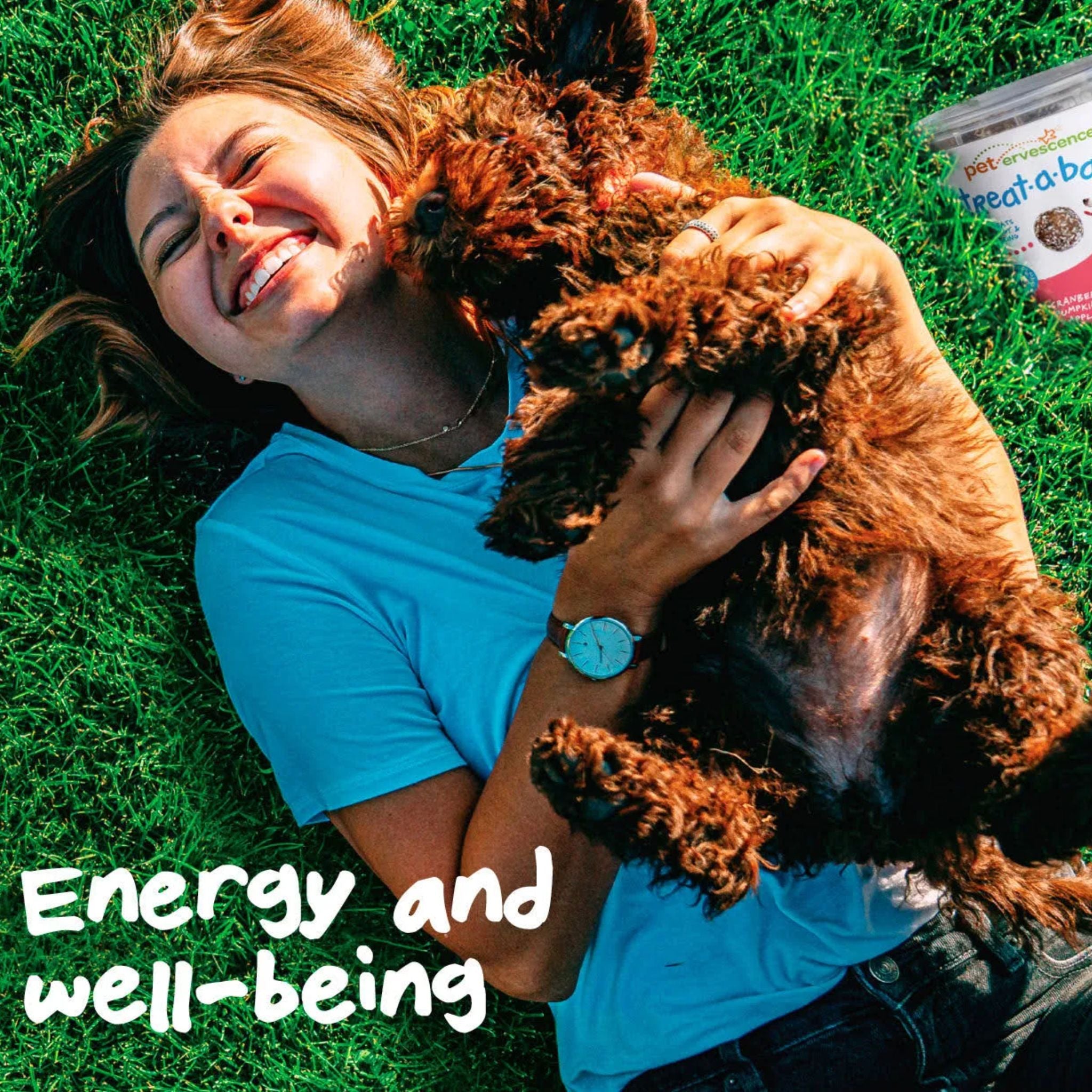 Pet Ervescence Treat-a-Balls Mango Chia, & Spinach Dog Treats