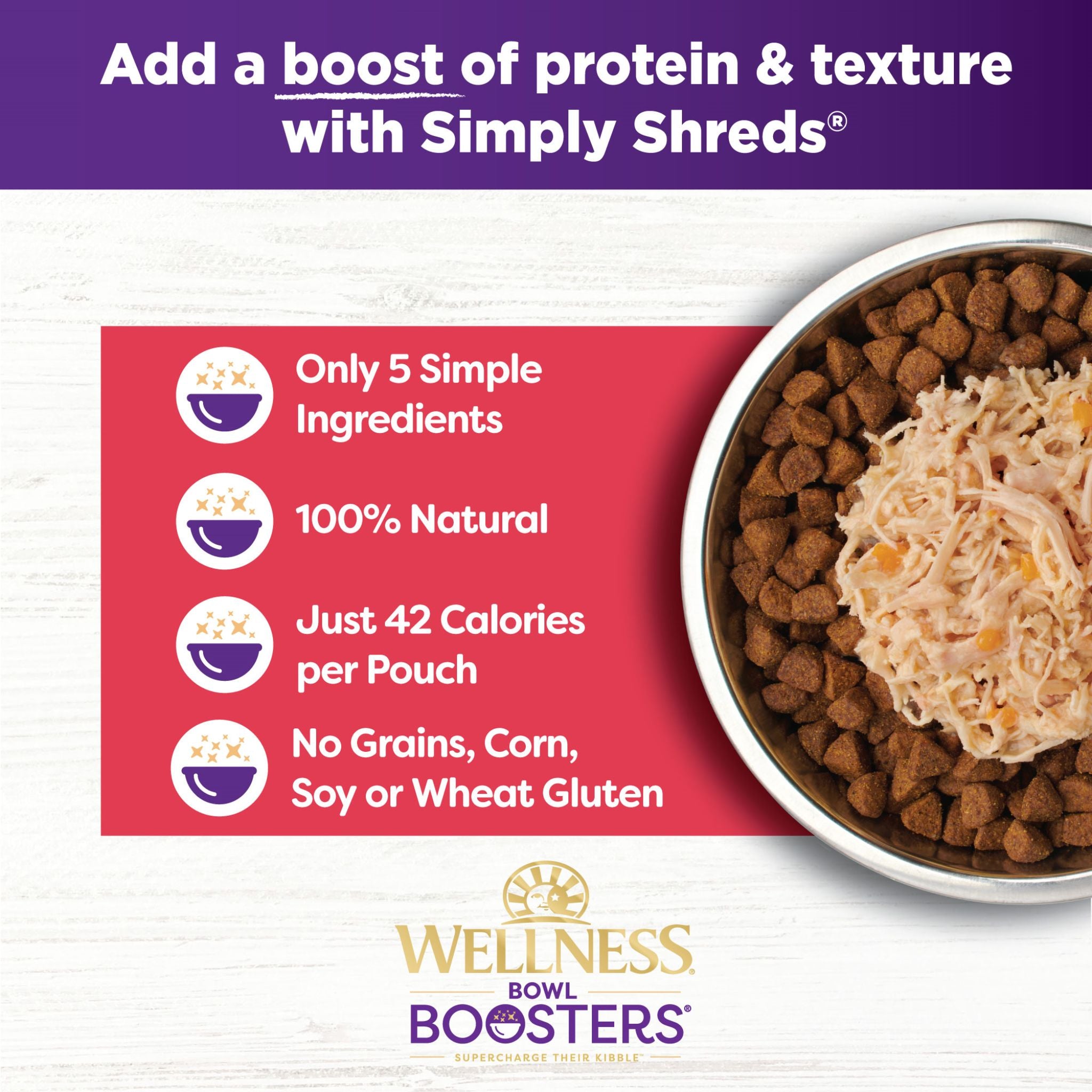 Wellness Core Wet Dog Food Simply Shreds Shredded Boneless Chicken, Wild Salmon & Pumpkin