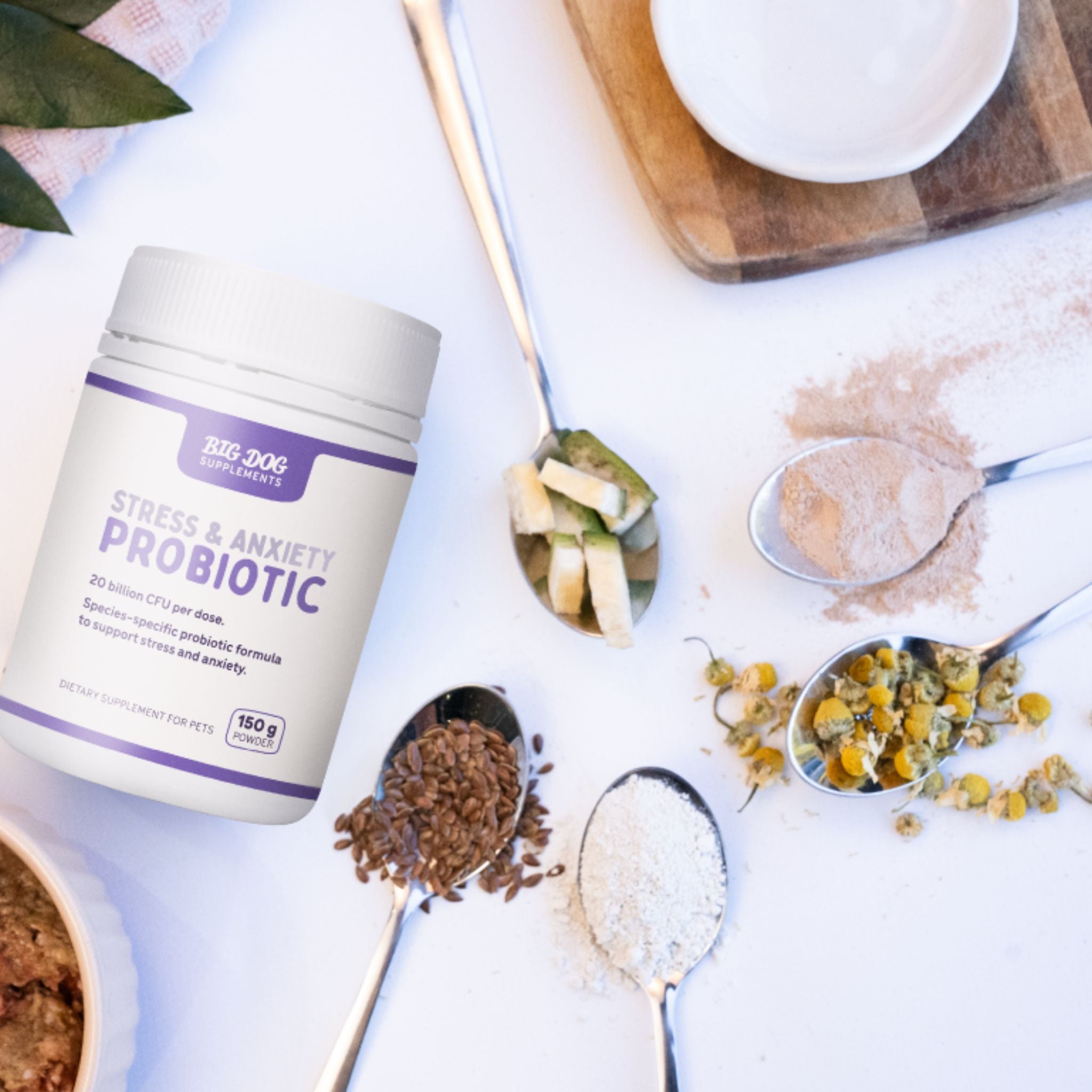 Big Dog Stress & Anxiety Probiotics for Pets