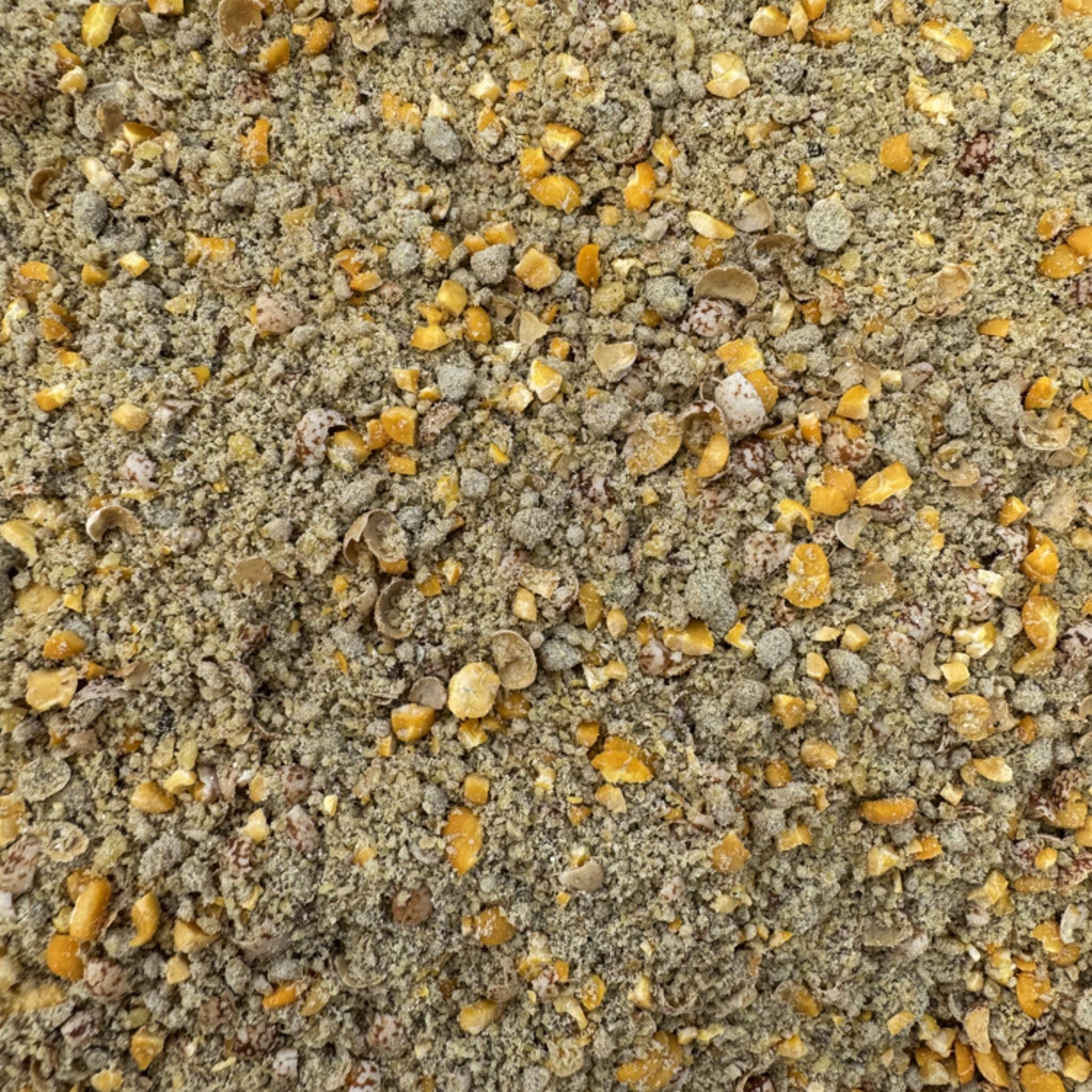 Black Horse Naturals Gut Align