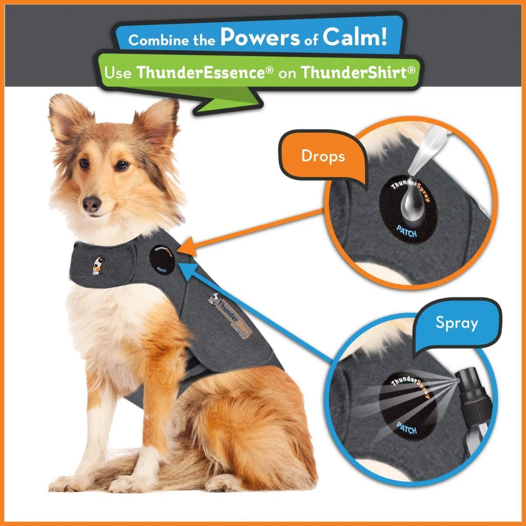 ThunderEssence Calming Essential Oil for Dogs | PeekAPaw Pet Supplies