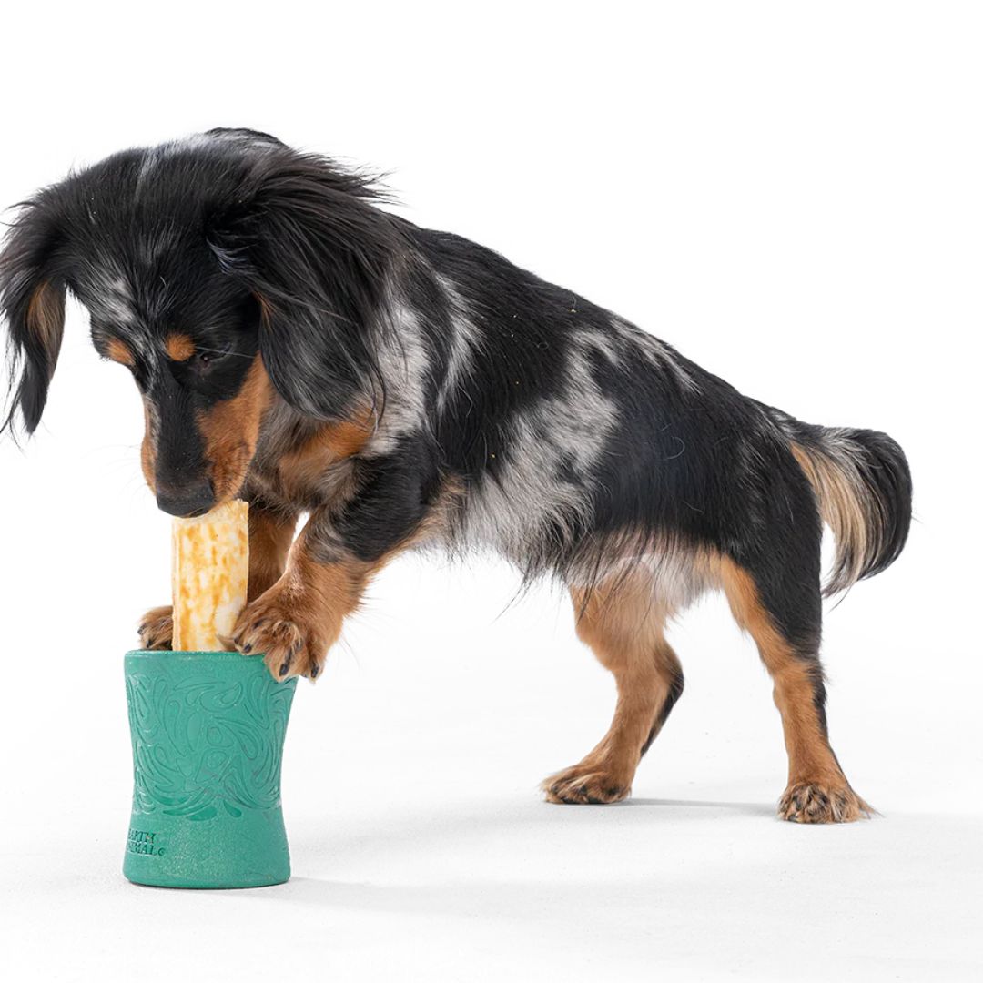 West Paw Funnl Dog Toys for Moderate Chewers