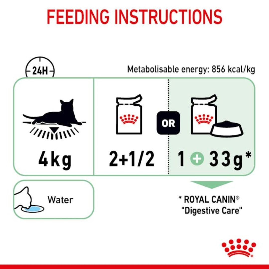 Royal Canin Digestive Care Wet Cat Food in Loaf - 85g x 12 | PeekAPaw Pet Supplies