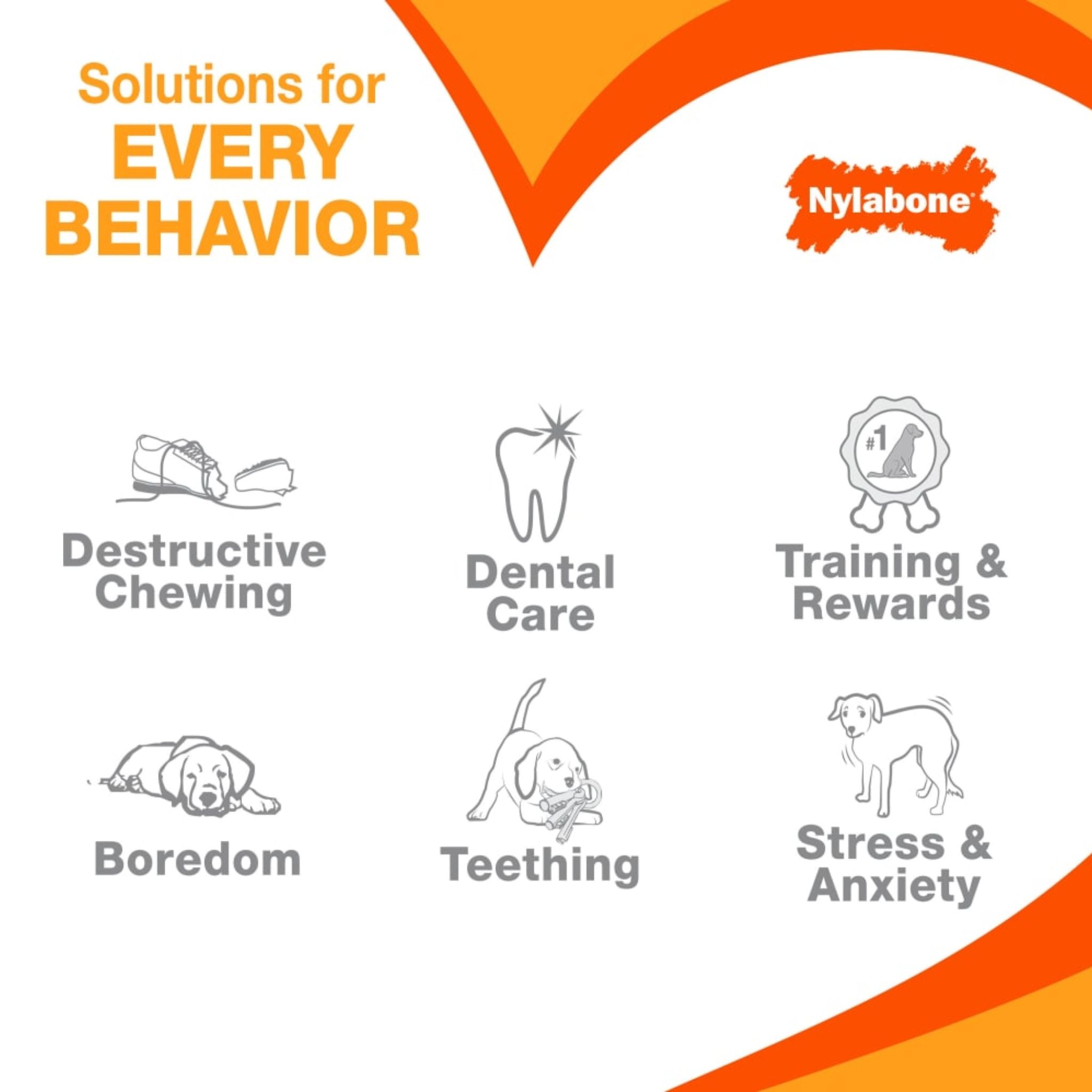 Nylabone Double Action Bone Dog Chew Toy Bacon Flavor