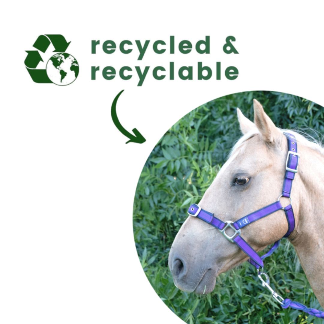 Anipal Autumn Lilac Recycled Comfort Halter & Lead Set | PeekAPaw Pet Supplies