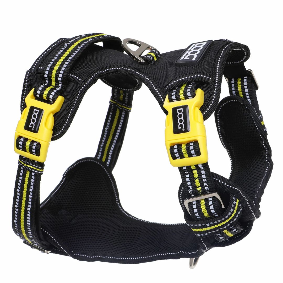 Doog Neotech Dog Harness - (Neon High Vis) Bolt | PeekAPaw Pet Supplies