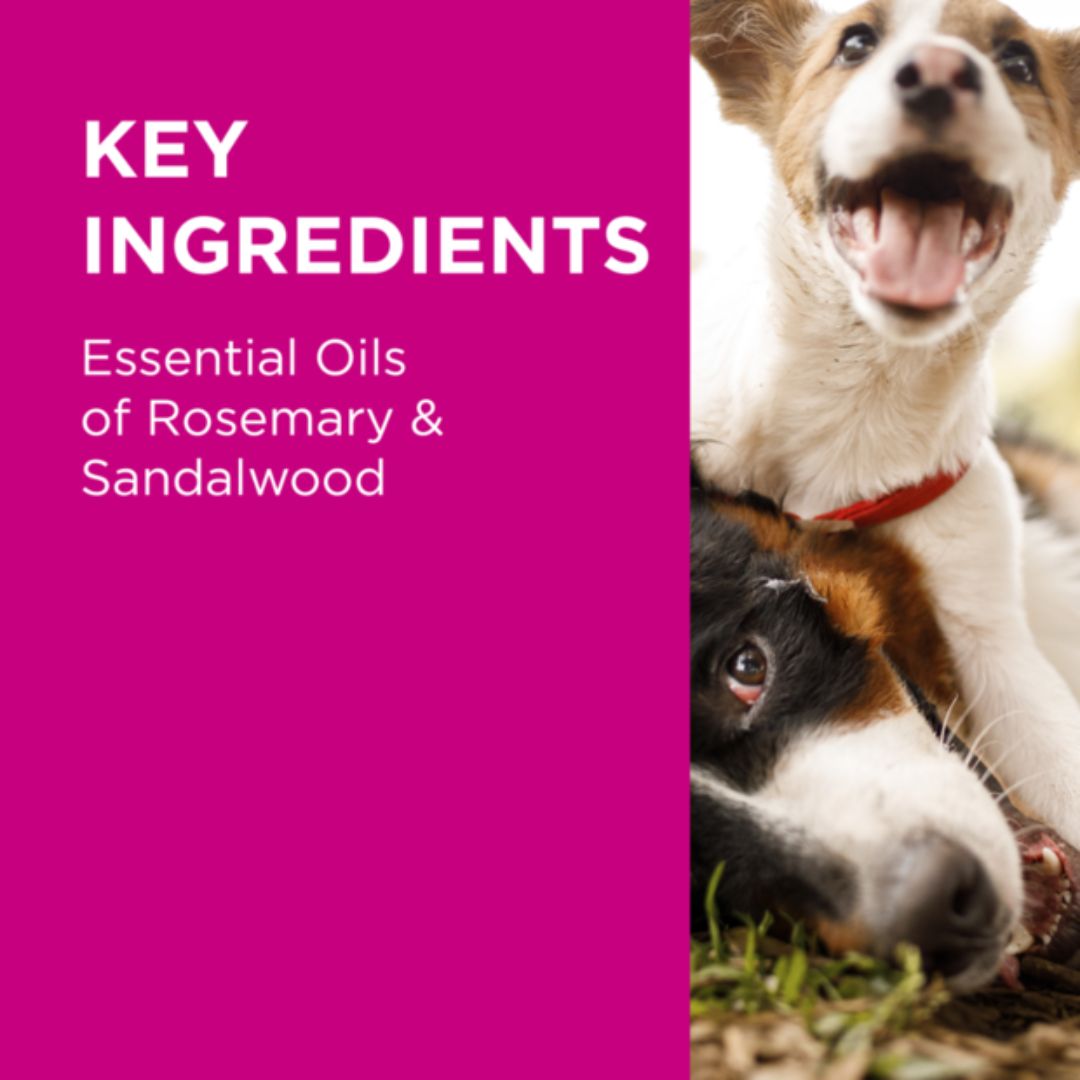 PAW by Blackmores Sensitive Skin Conditioner for Dogs