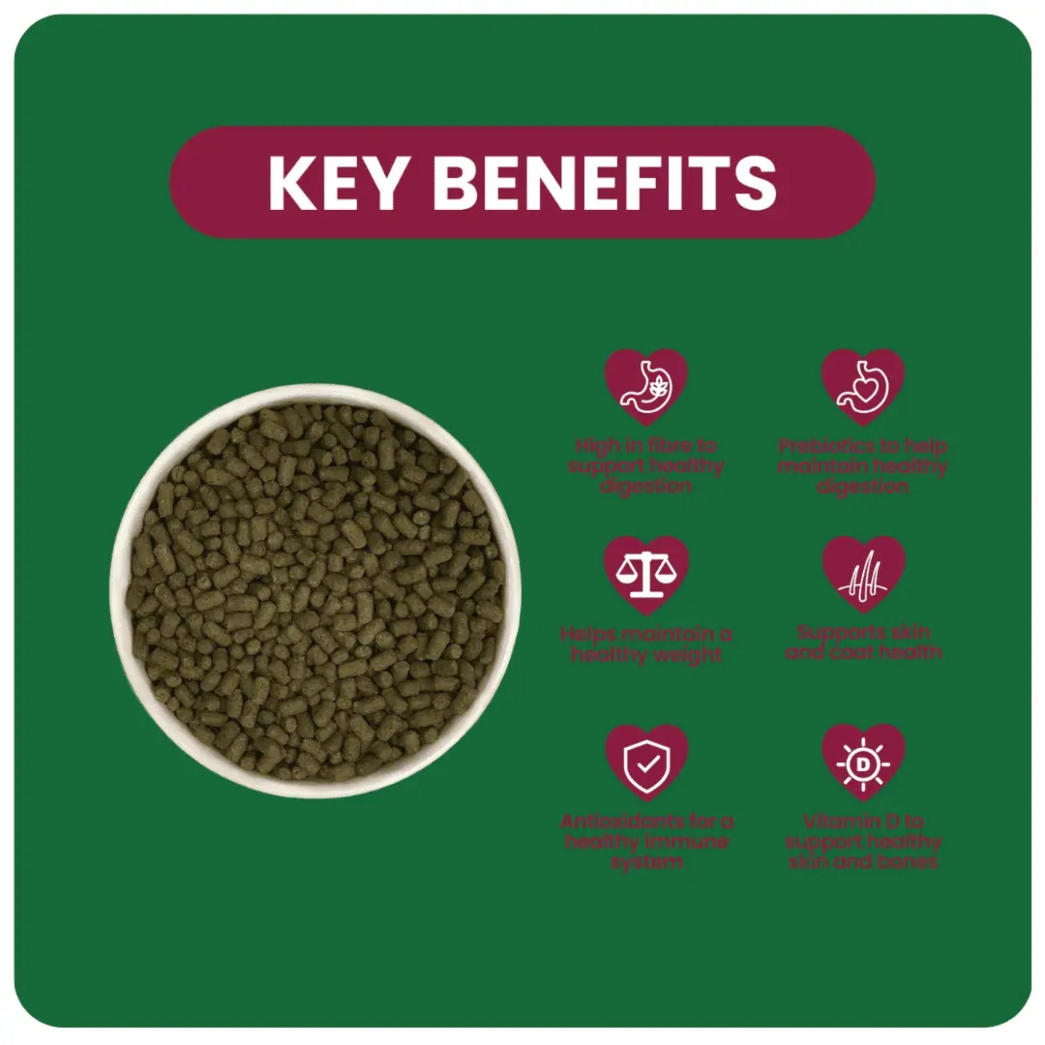 Burgess Excel Indoor Guinea Pig Nuggets