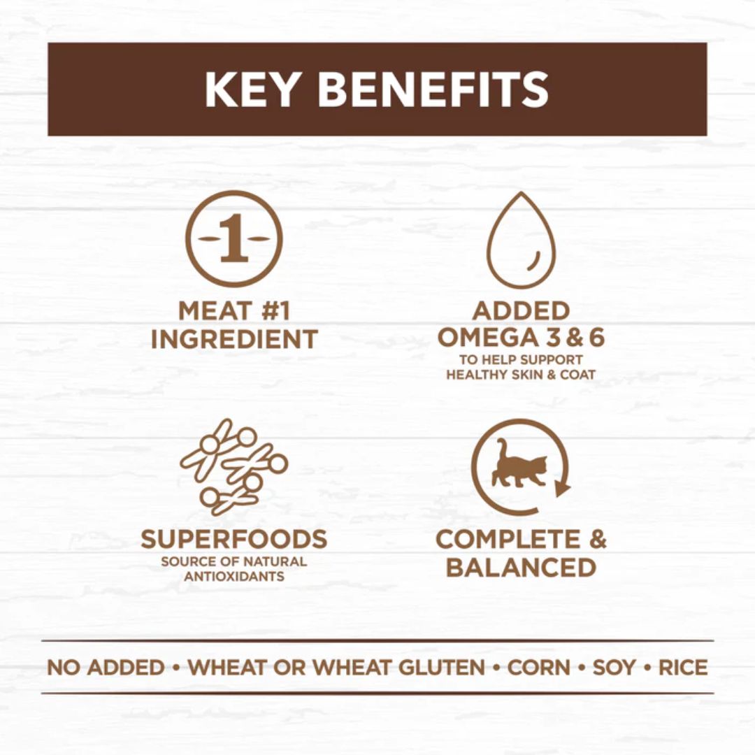 Ivory Coat Grain Free Adult Wet Cat Food Chicken & Kangaroo in Gravy