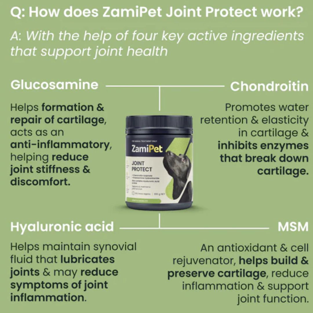 Zamipet Joint Protect For Dogs