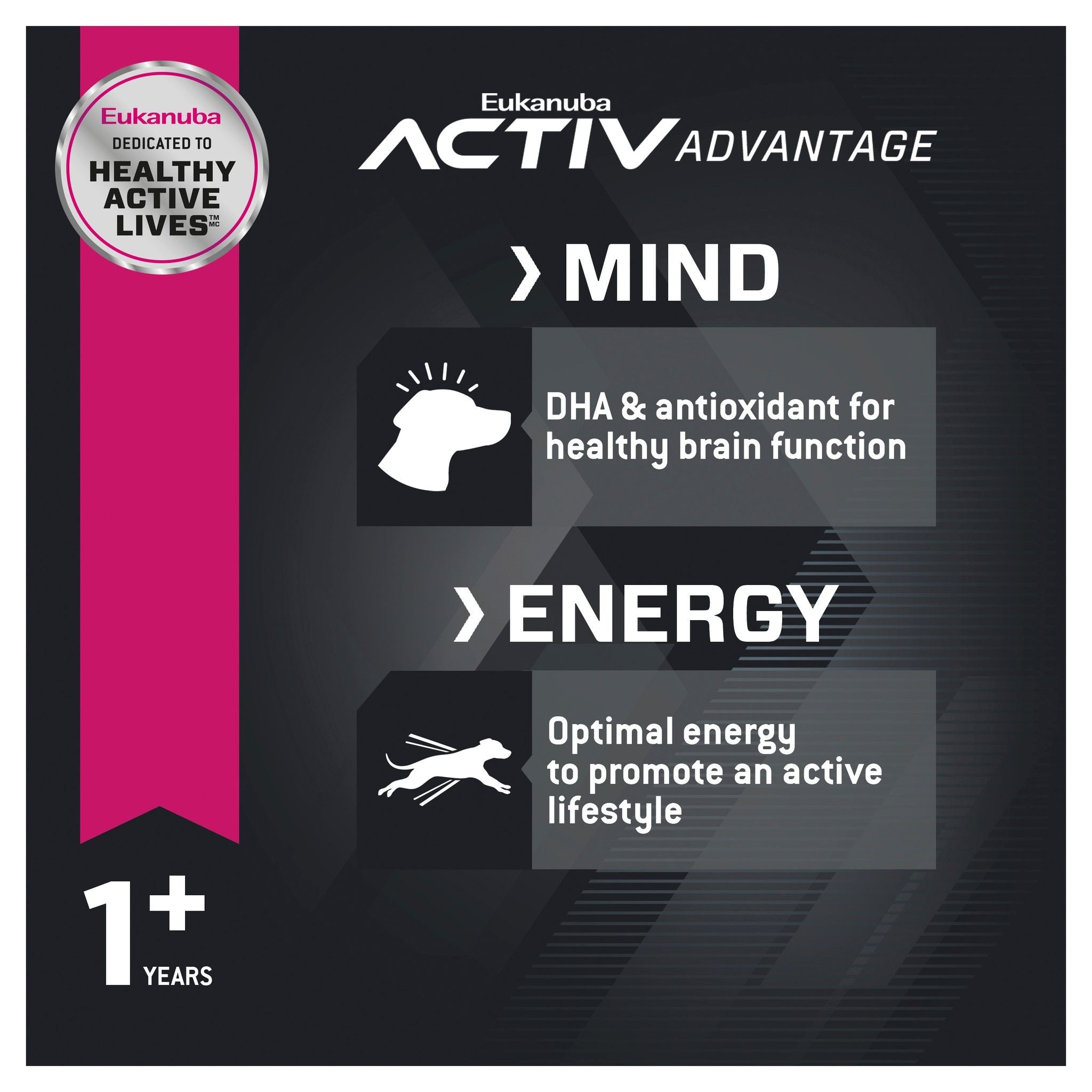 Eukanuba Dry Dog Food Adult Large Breed