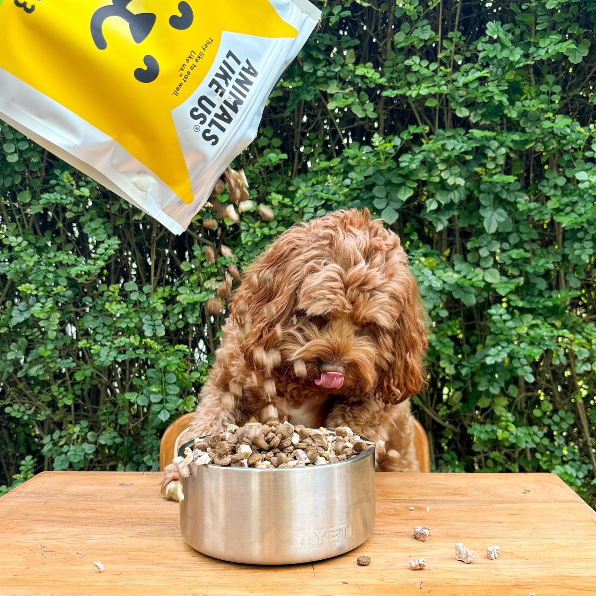 Animals Like Us Dog Food RawMix33 with Grass-Feed Lamb