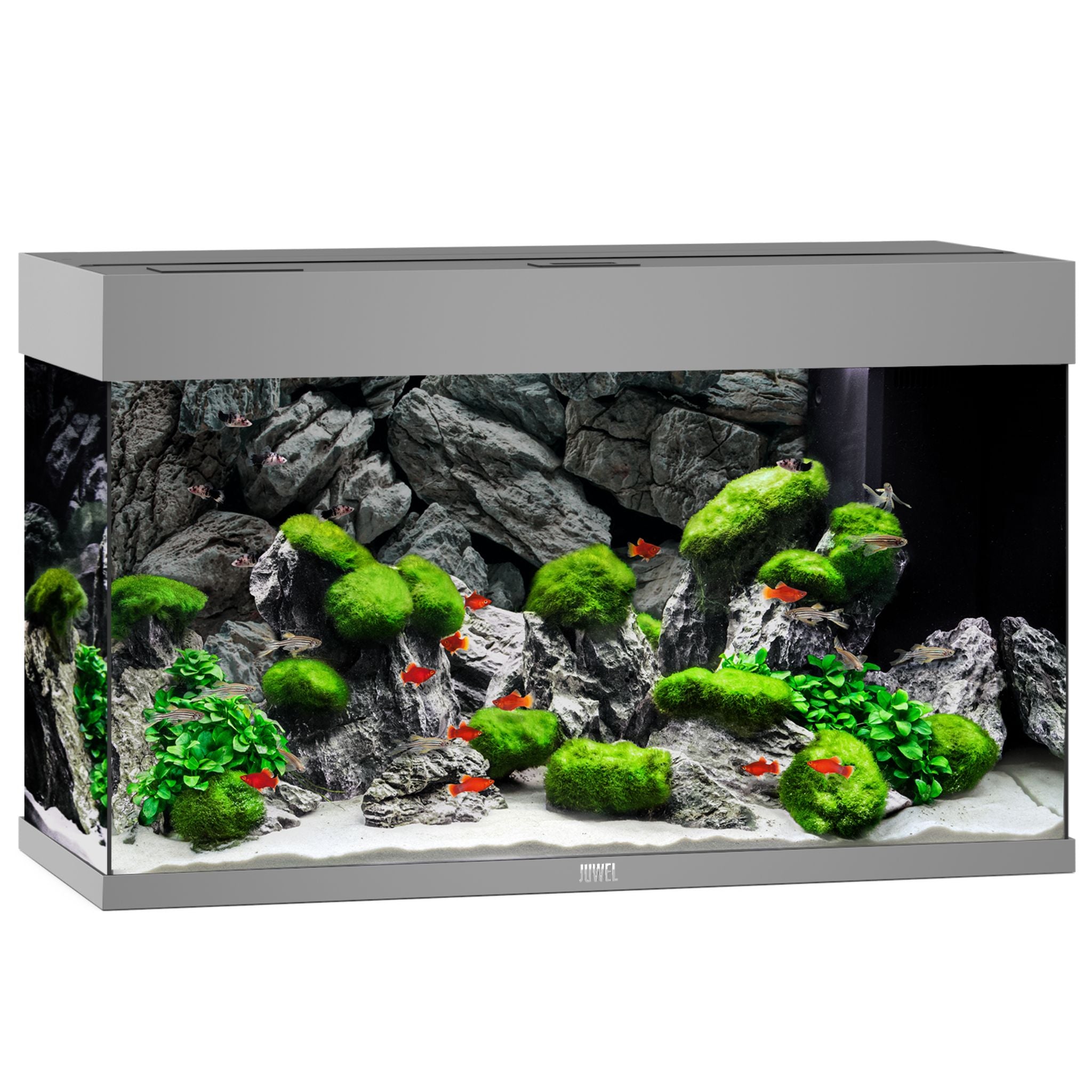 Juwel RIO LED Aquarium 125L
