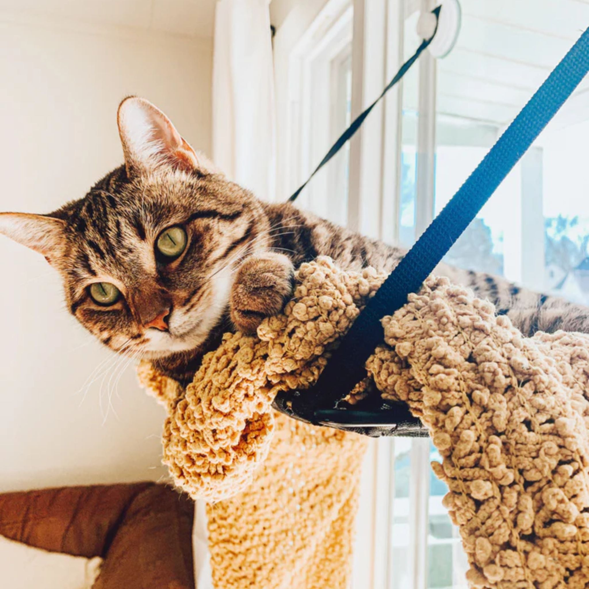 K&H EZ Mount Window Kitty Sill Single Level